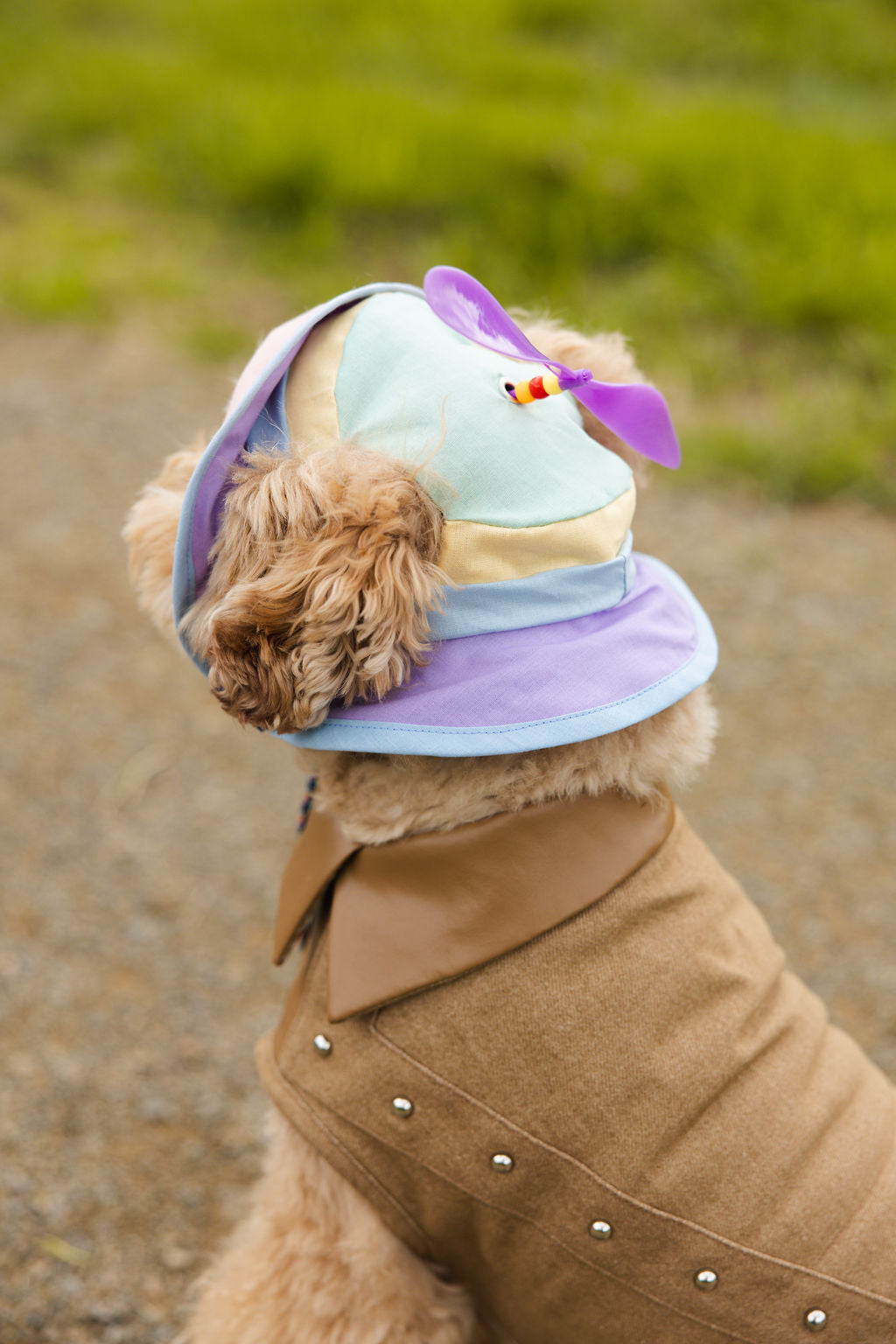 Pastel Spinning Propeller Dog Bucket Hat