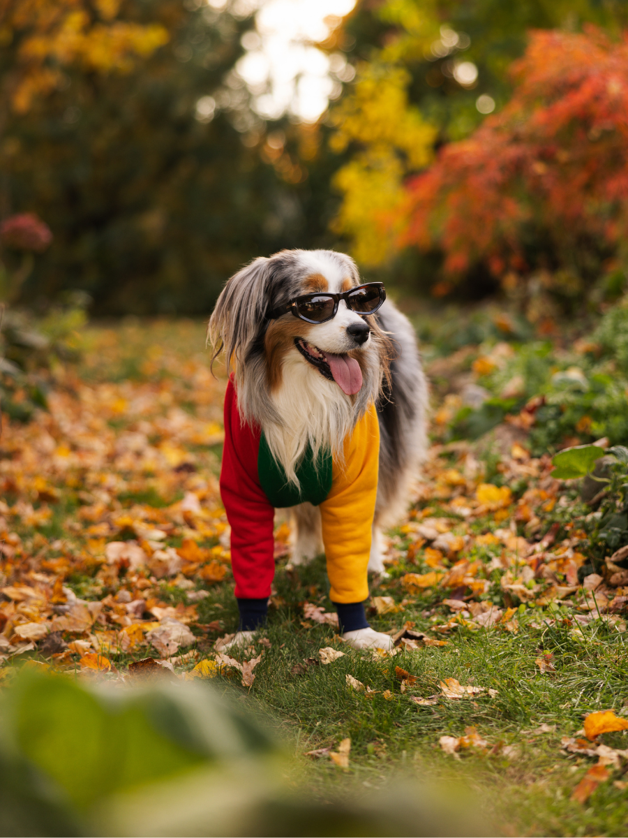 Barkstreet Bois Matching Set