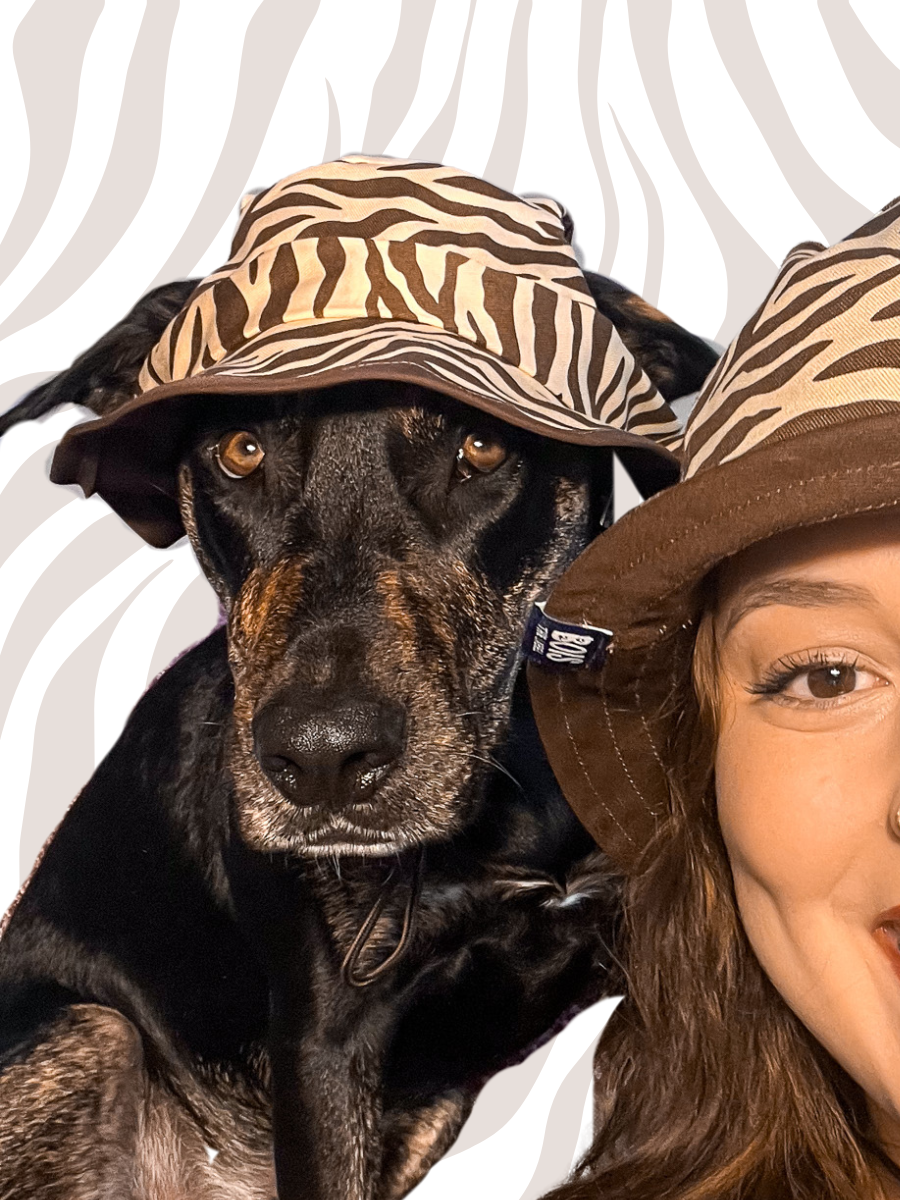 Matching Dog and Owner Zebra Reversible Bucket Hats