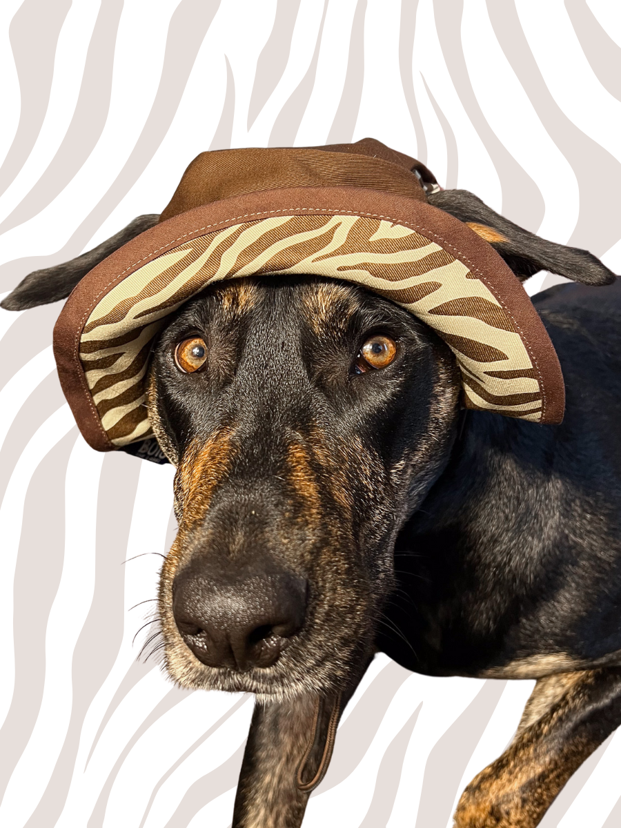Zebra Dog Reversible Bucket Hat