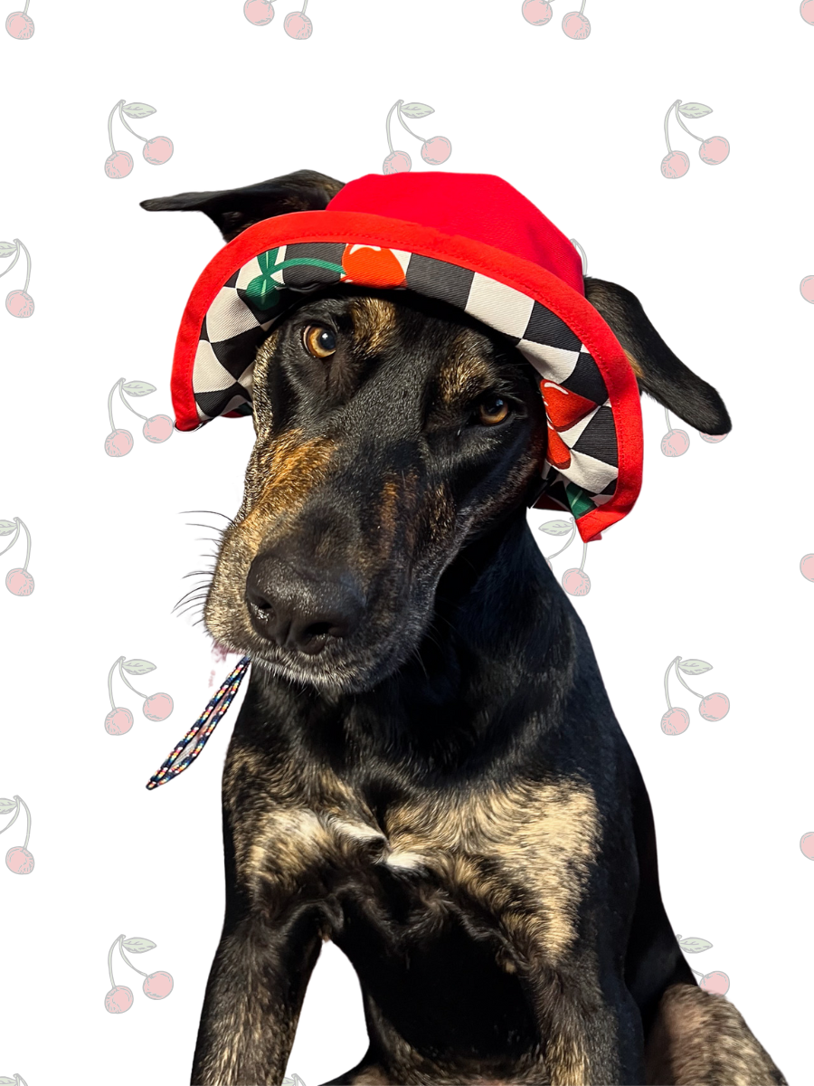 Matching Dog and Owner Cherry Checker Reversible Bucket Hats