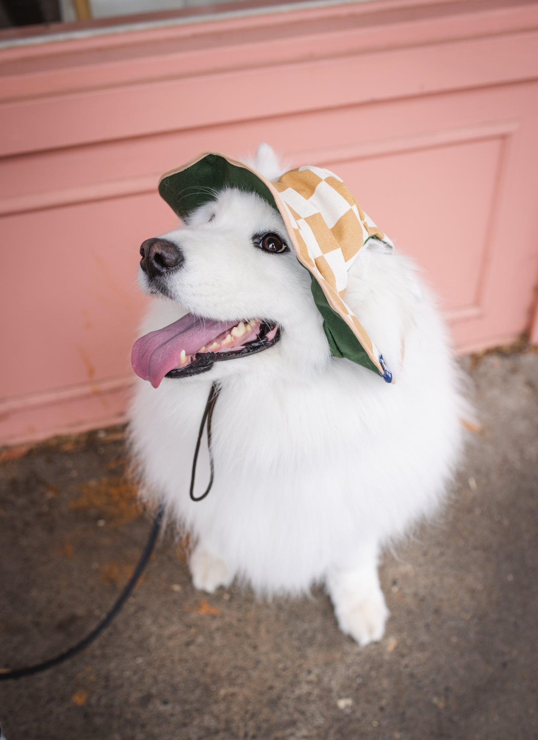 Checker Dog Reversible Bucket Hat