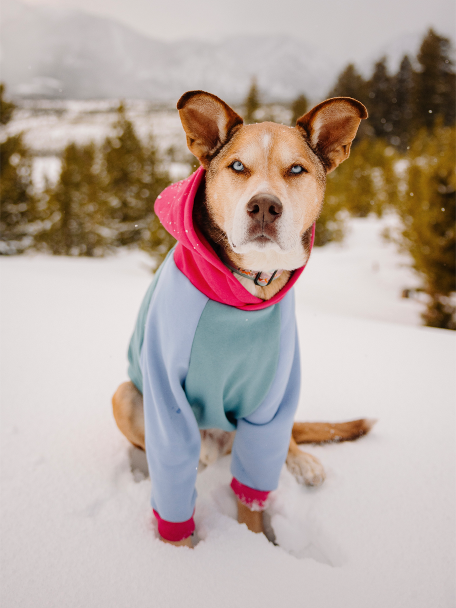 Eeyore fashion hoodie