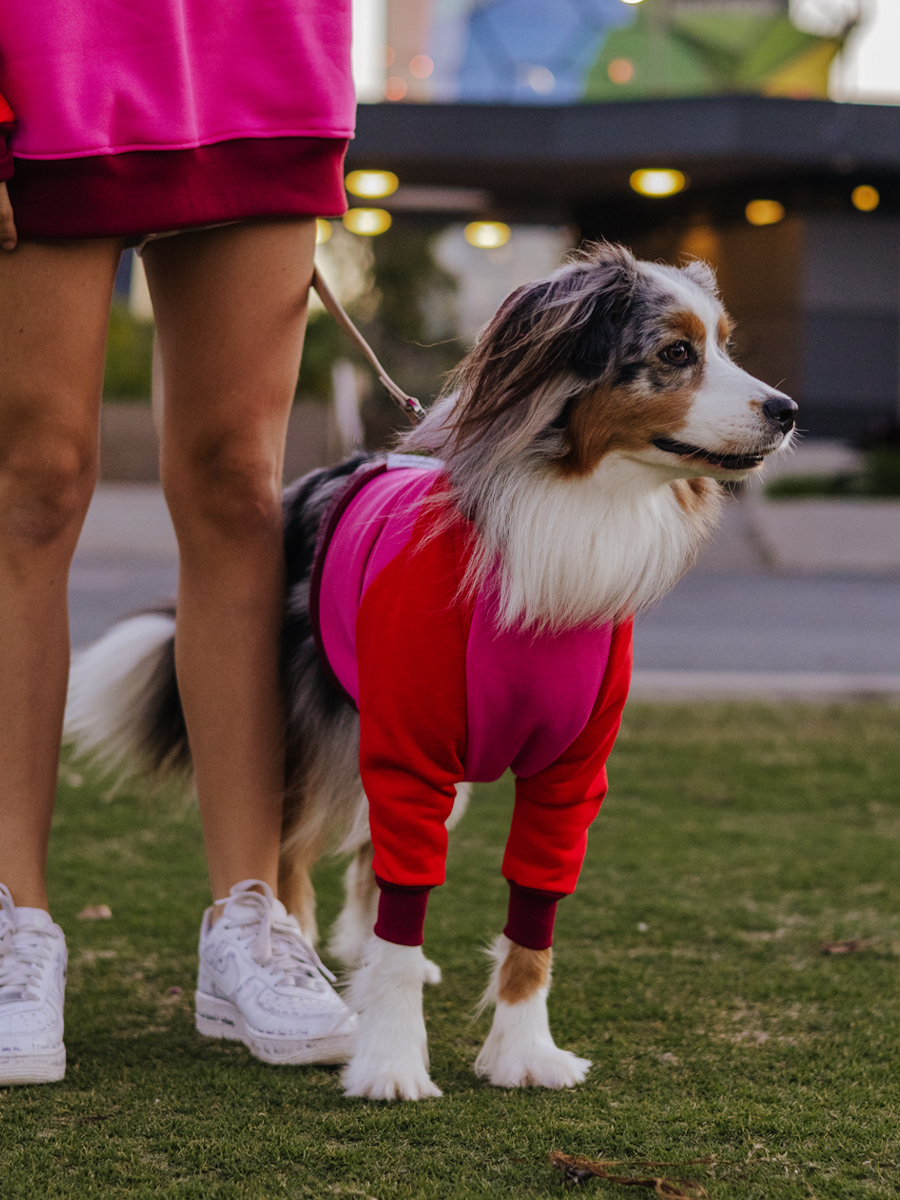 Pretty in Pink Crewneck