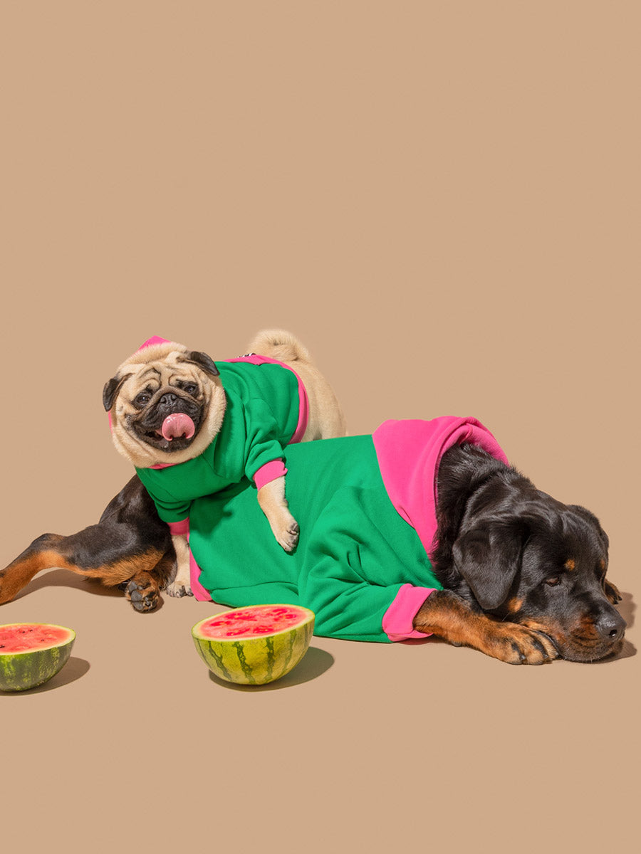 Watermelon Sugar Hoodie