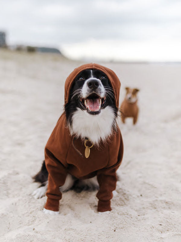 Cocoa Hoodie