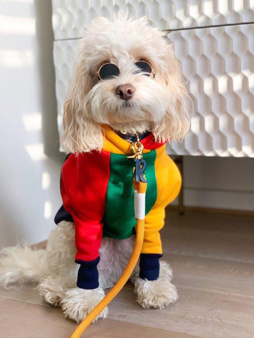 Barkstreet Bois Hoodie