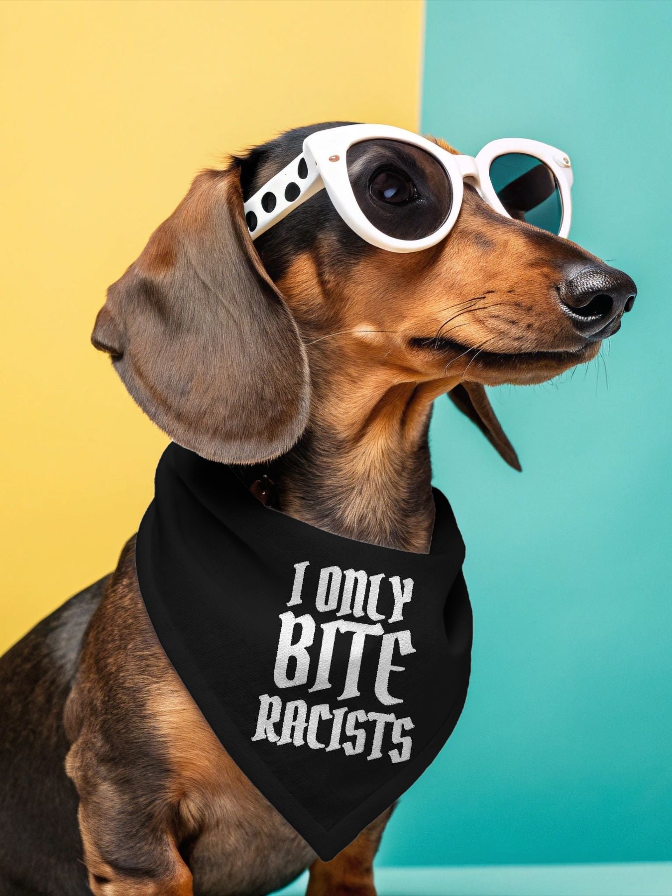 Bandanas for a Cause