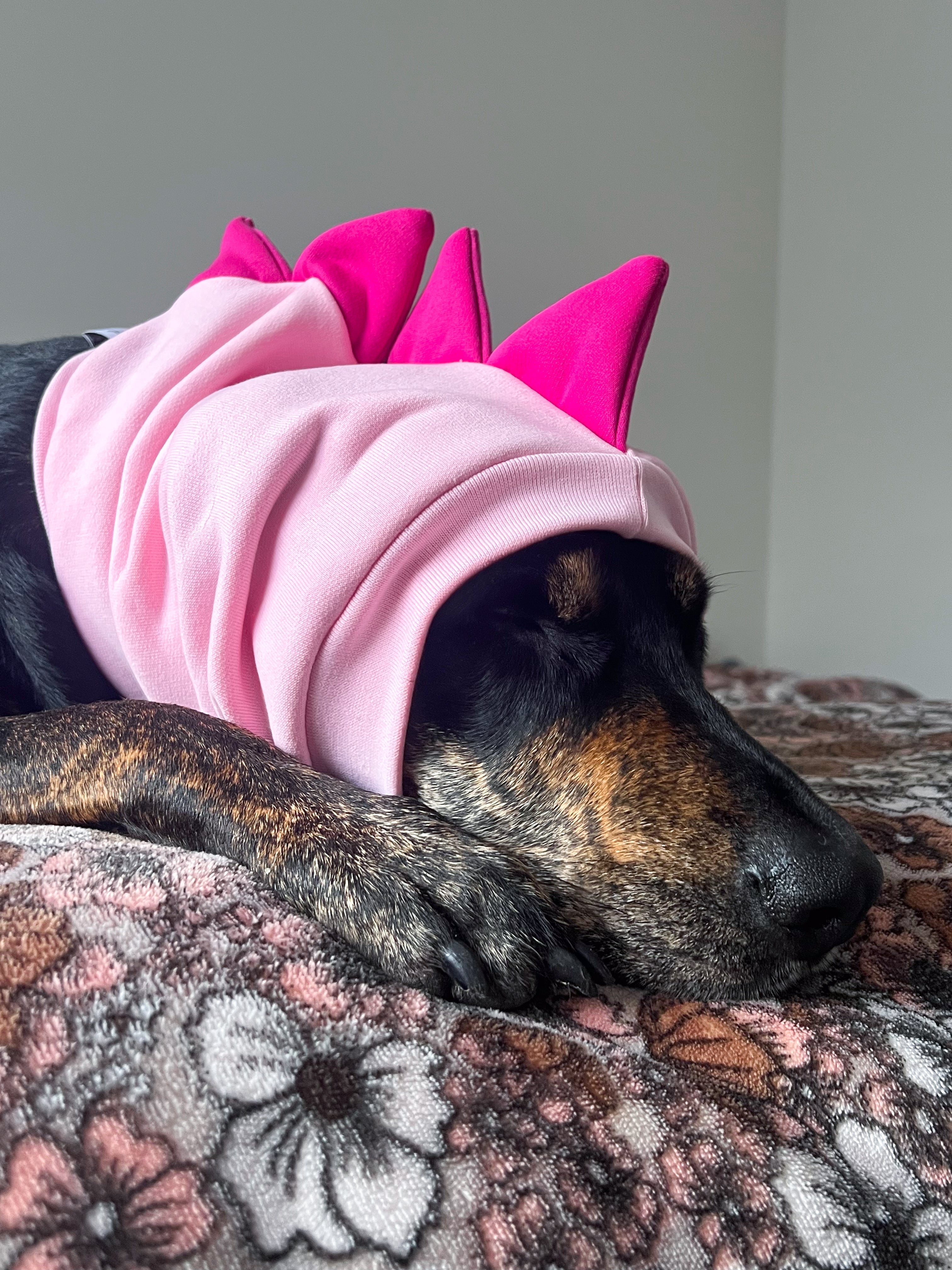 Dog Snoods / Costumes