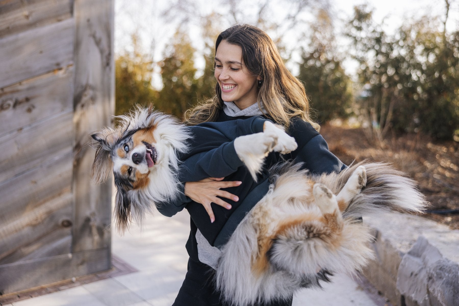 Dog Hoodies