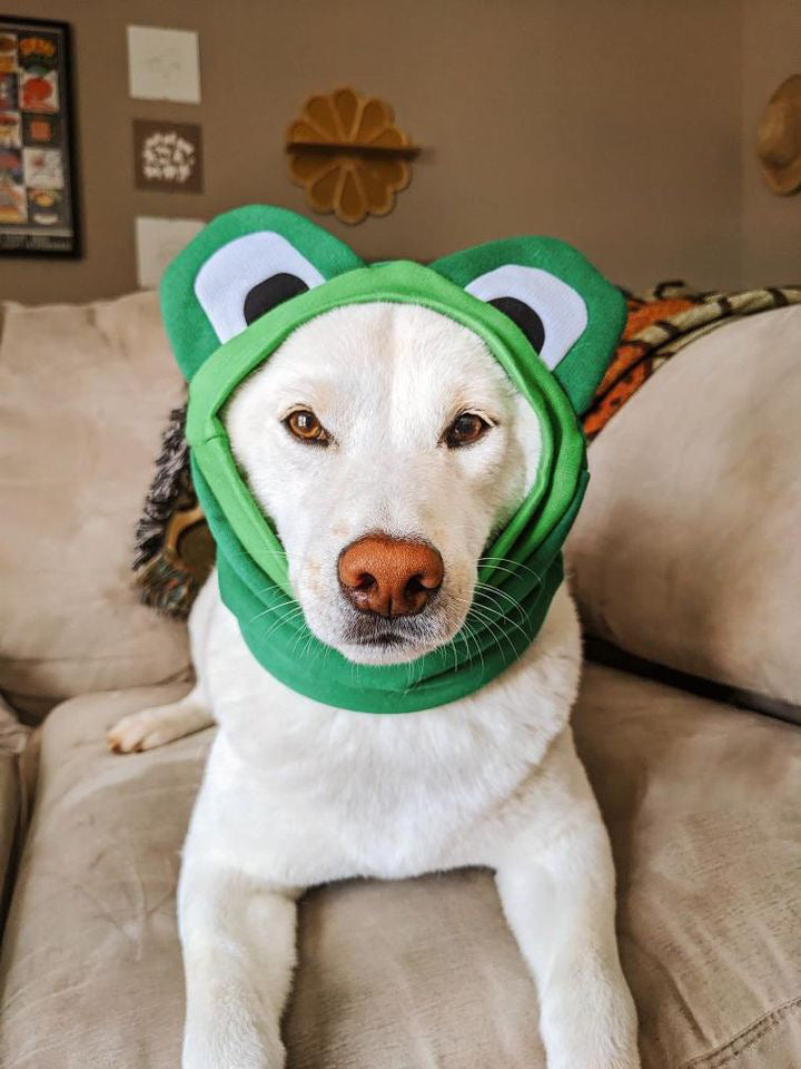Frog Snood Dog Costume