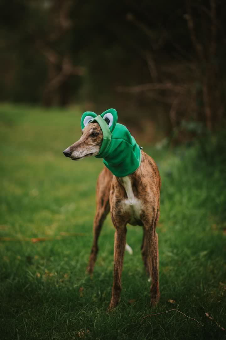Frog Snood Dog Costume