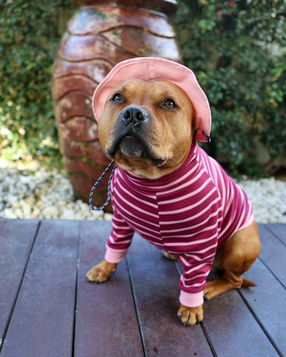 Jersey de cuello alto para perro Rayas en abundancia