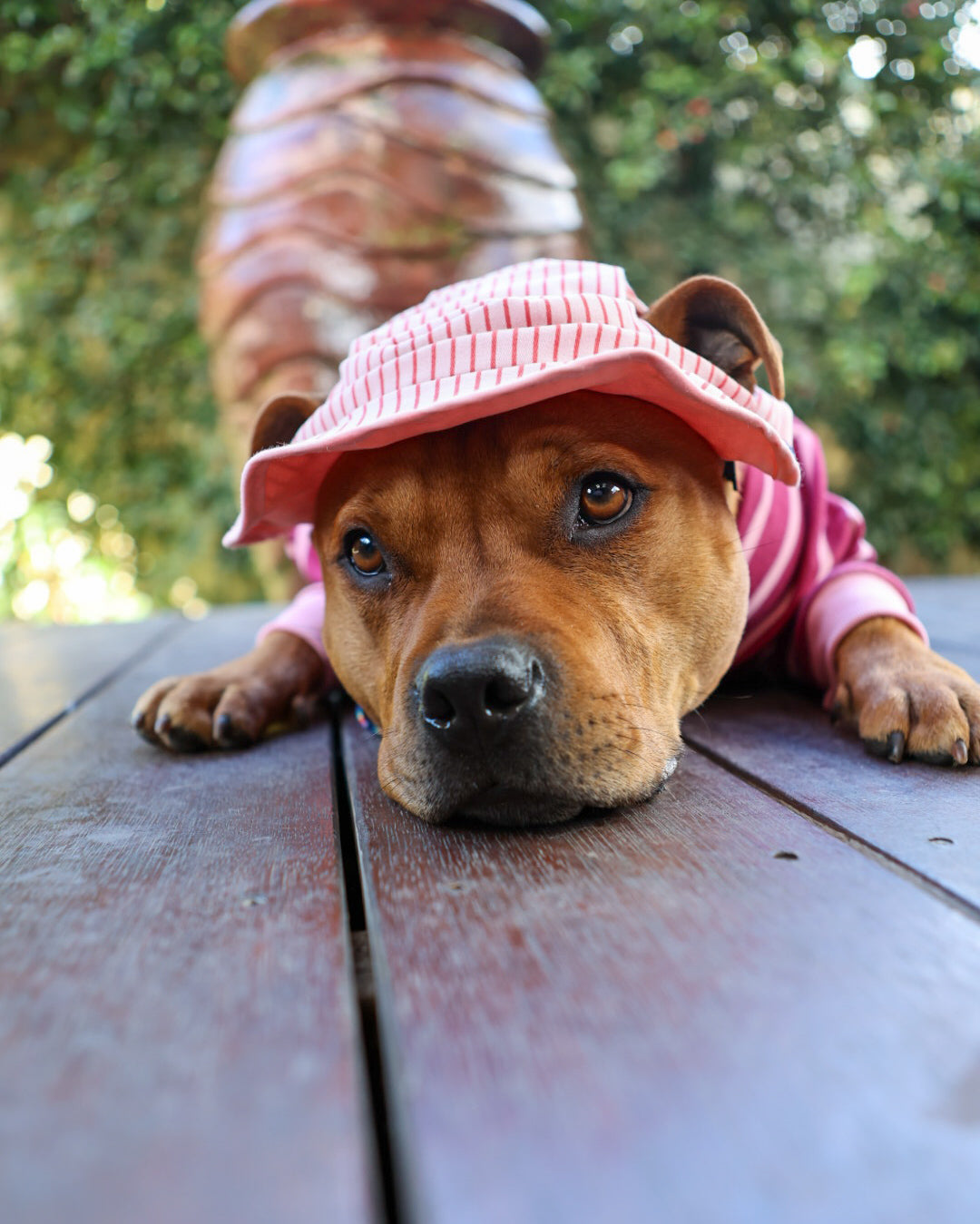Sombrero de cubo reversible Gingham Dog