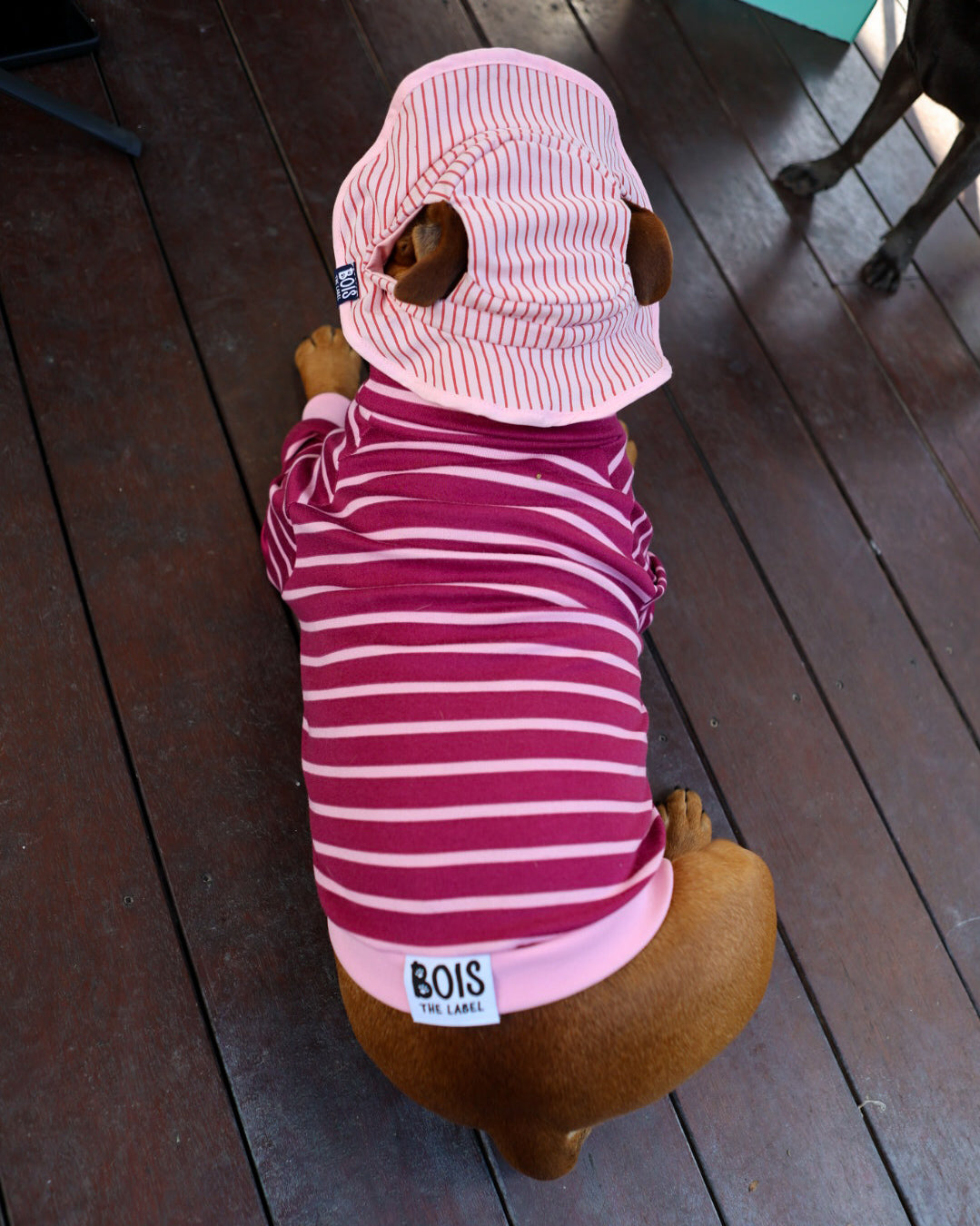 Jersey de cuello alto para perro Rayas en abundancia