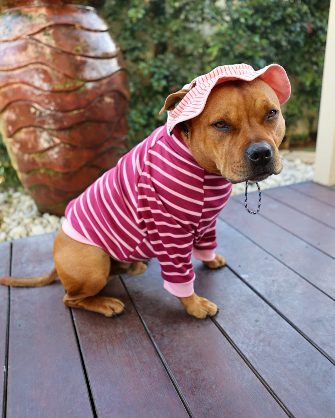 Jersey de cuello alto para perro Rayas en abundancia