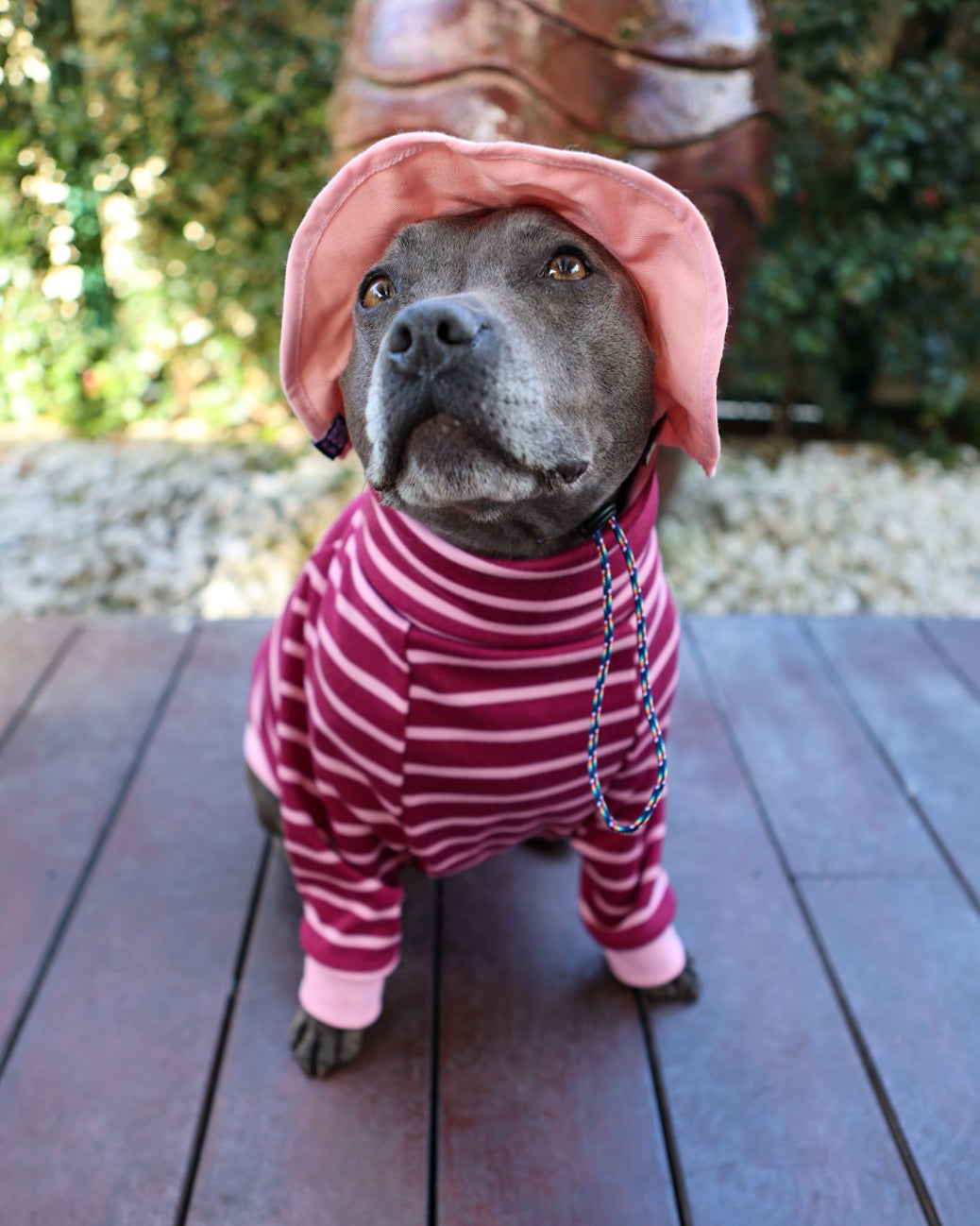 Sombrero de cubo reversible Gingham Dog