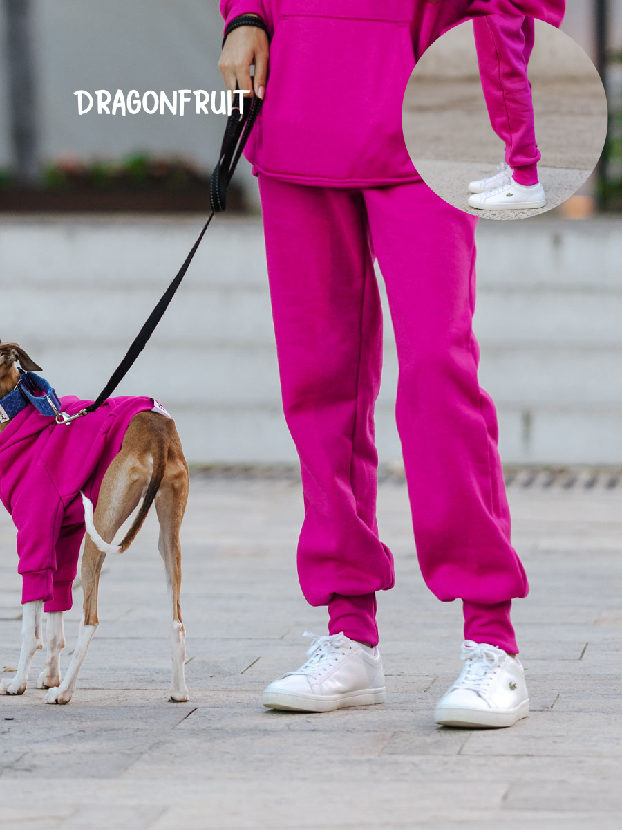 Hooman Adult Joggers (All Colors)