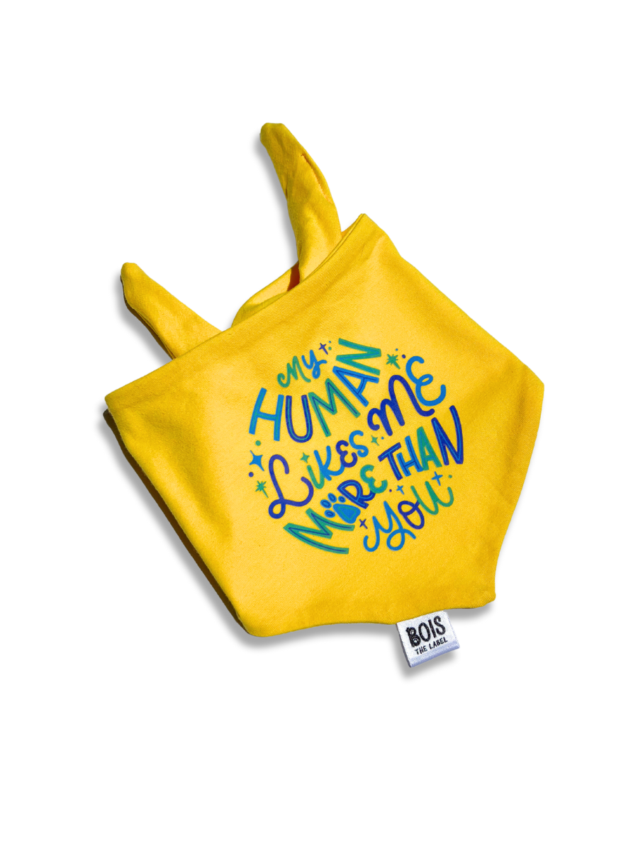 "My Human Likes Me More Than You" x BubblyType Dog Bandana