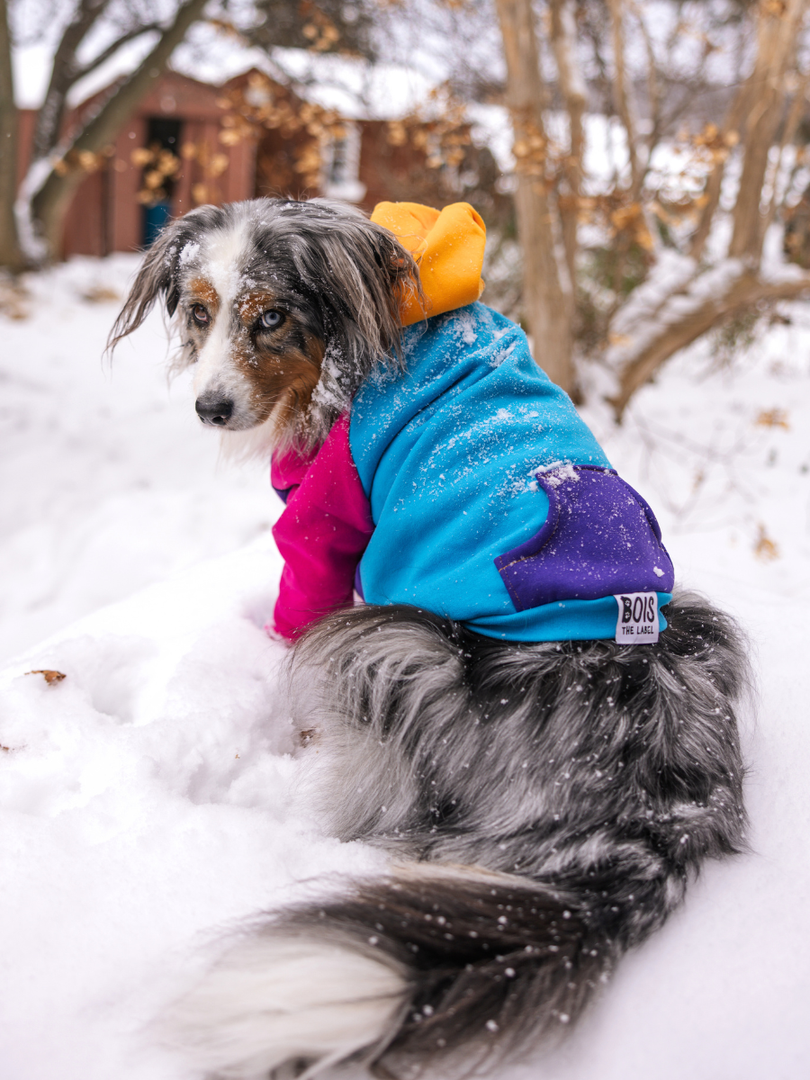 Saved by the Bois 2.0 Dog Hoodie