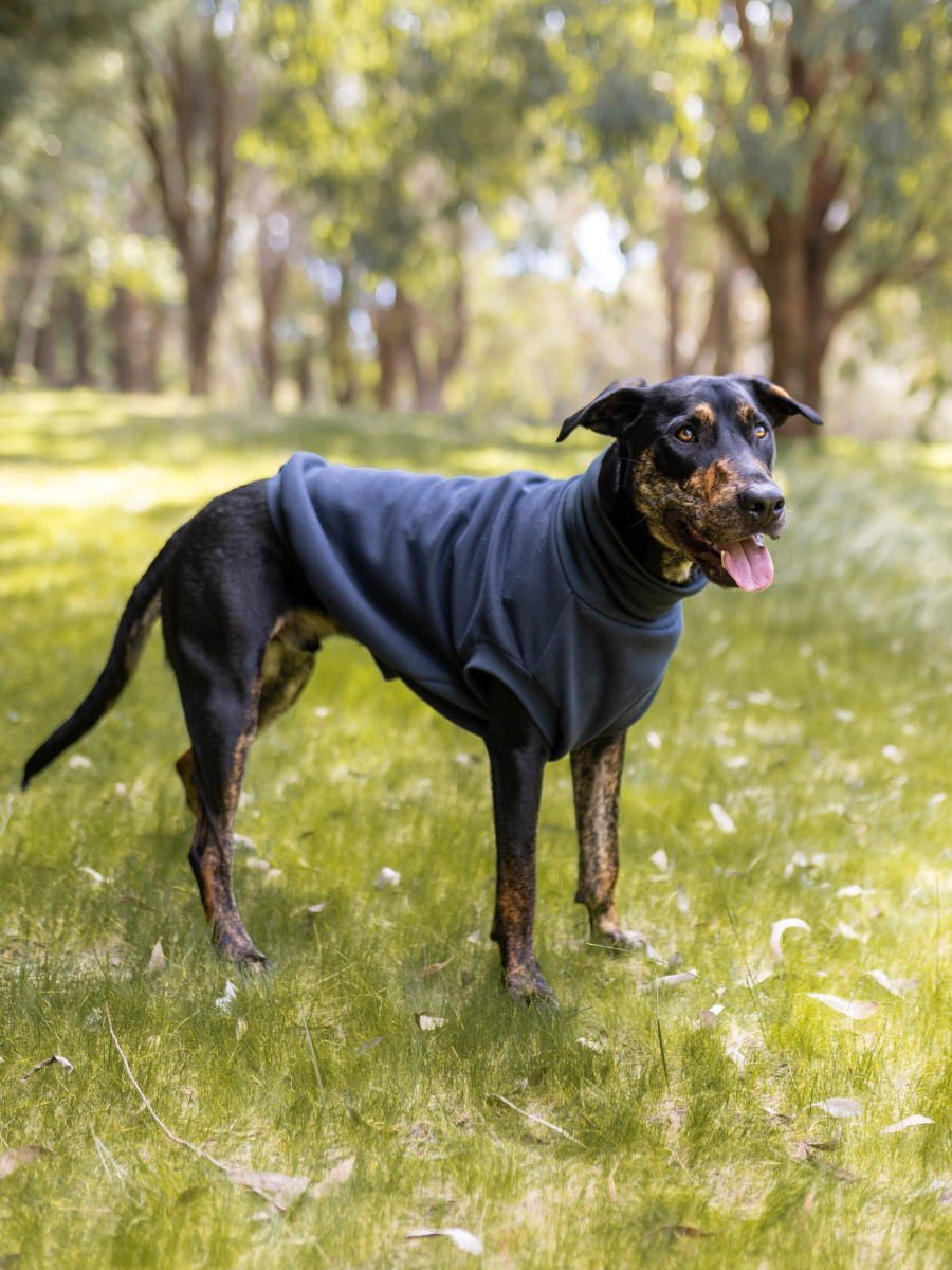Charcoal Sleeveless Dog Turtleneck