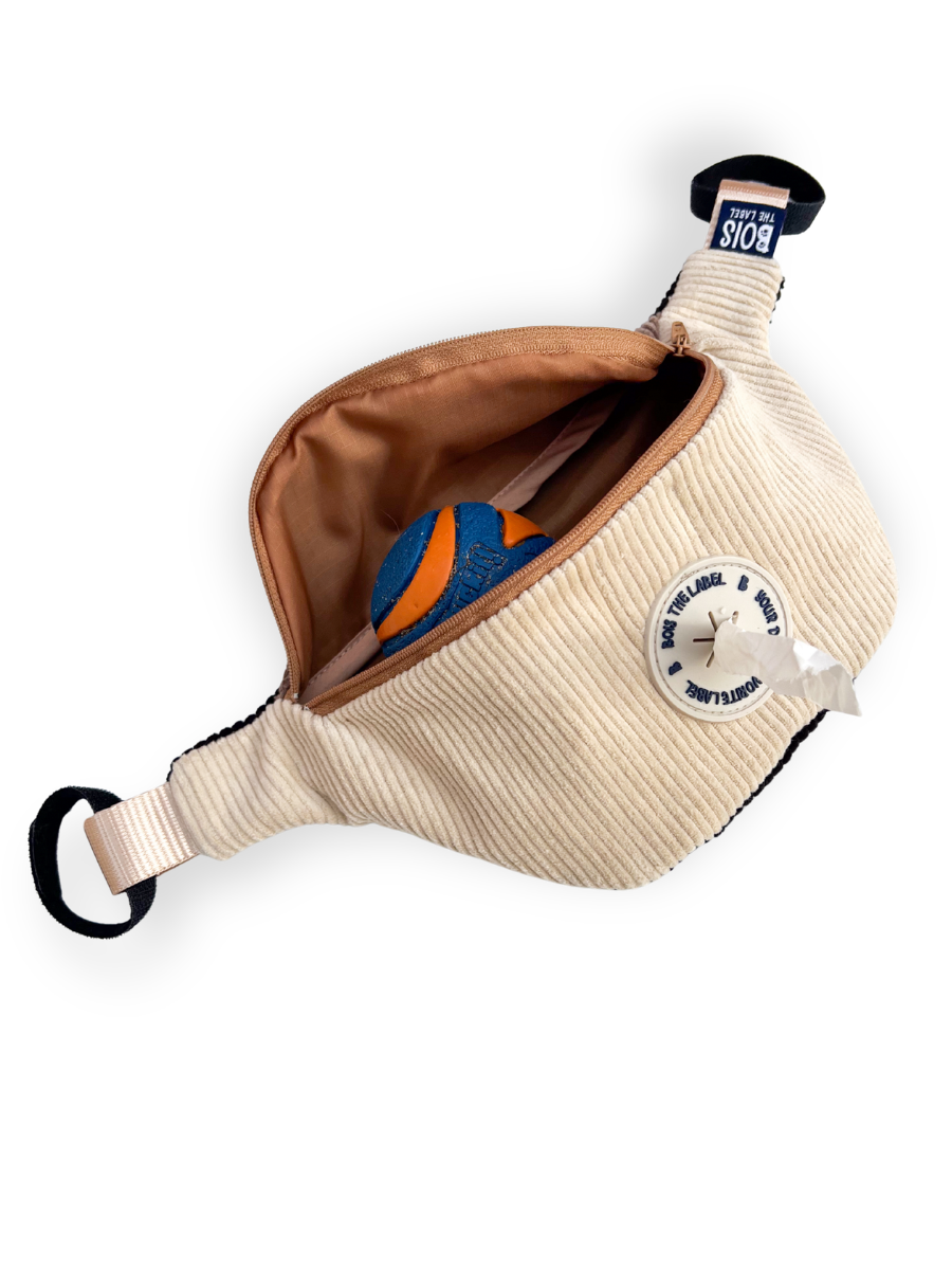 Doggy Bumbag - Cream Corduroy Colourblock