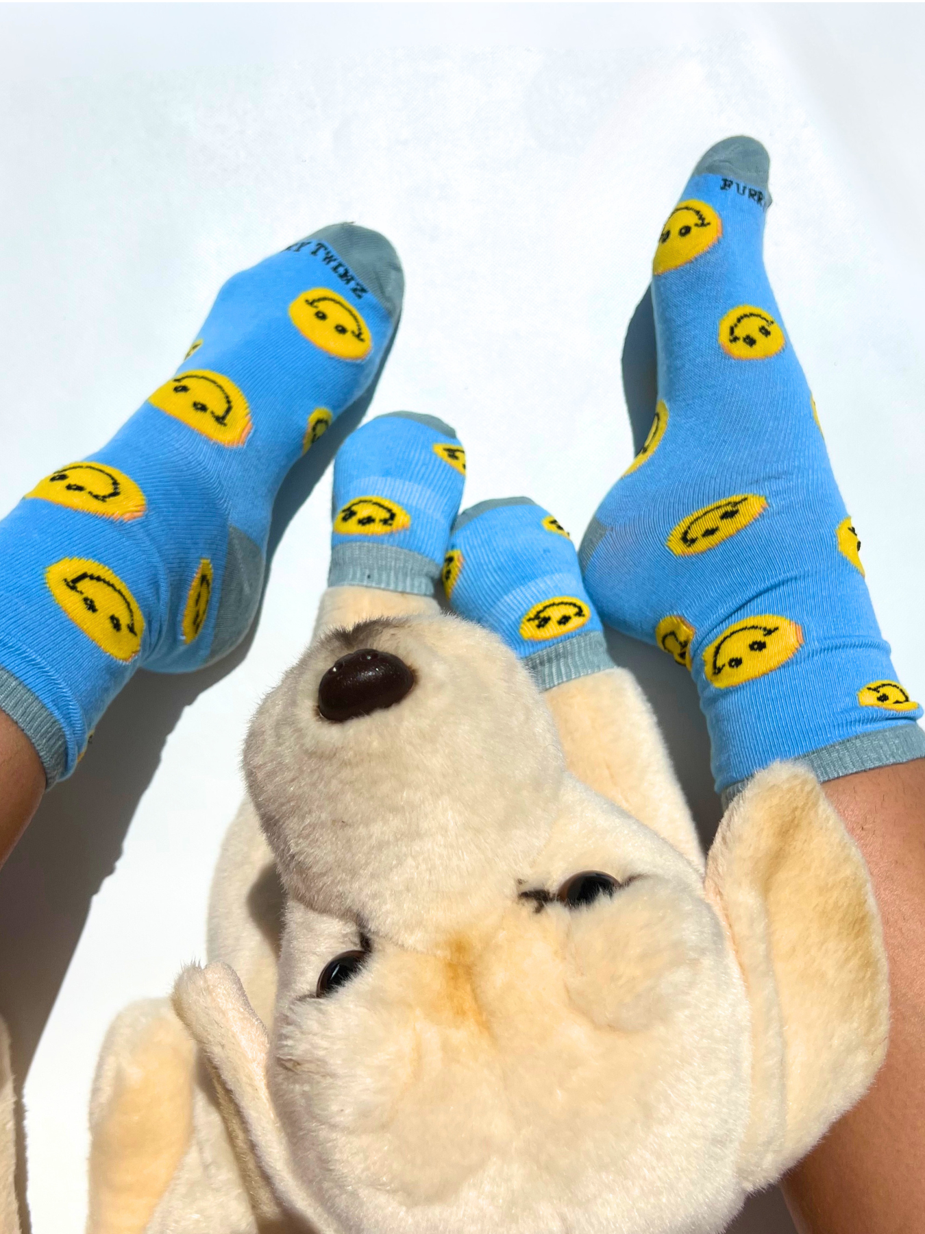 Matching Pet And Owner Fun Socks: Smiley