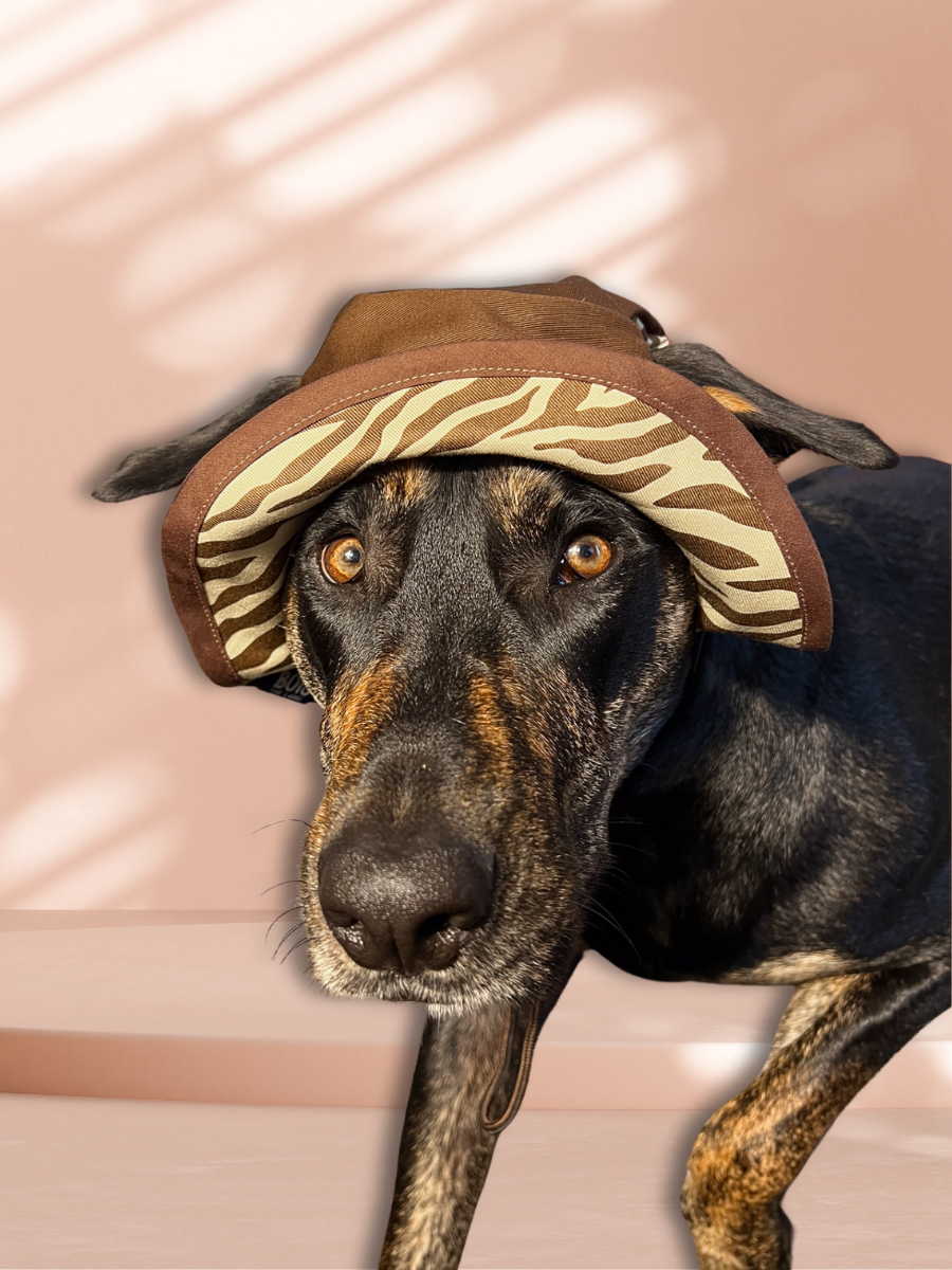 Zebra Dog Reversible Bucket Hat