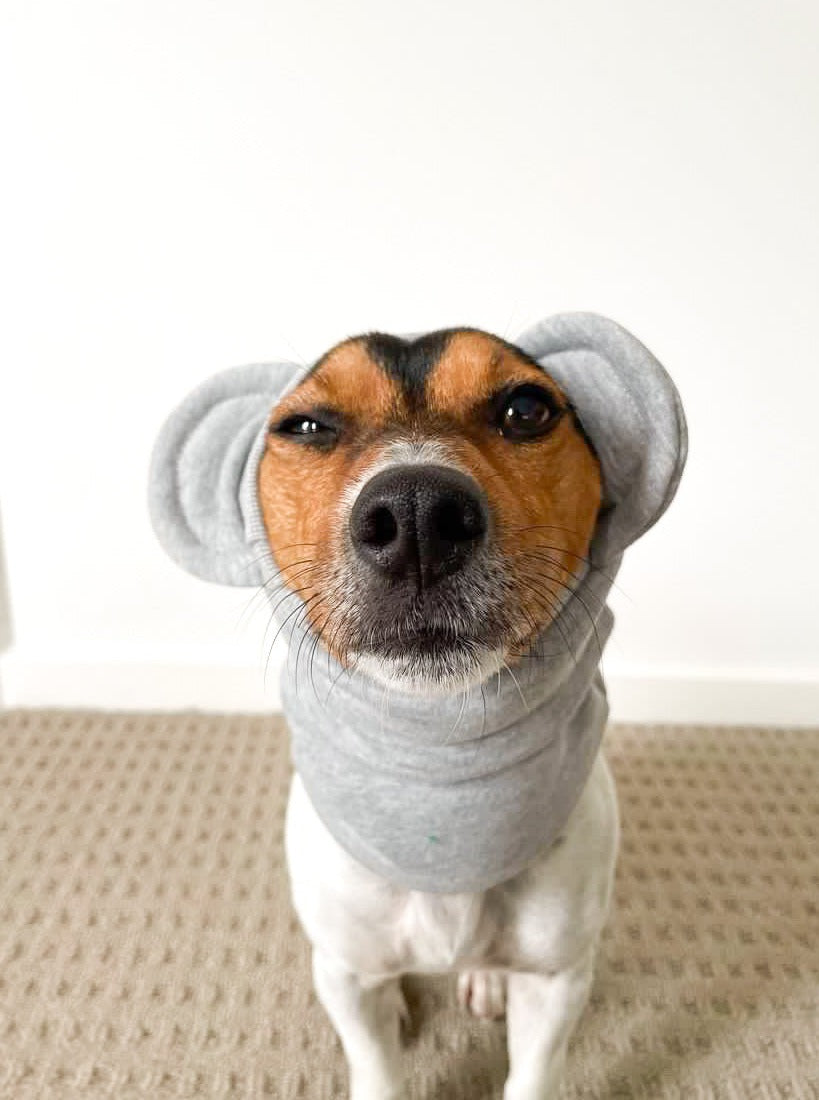 Koala Snood Dog Costume