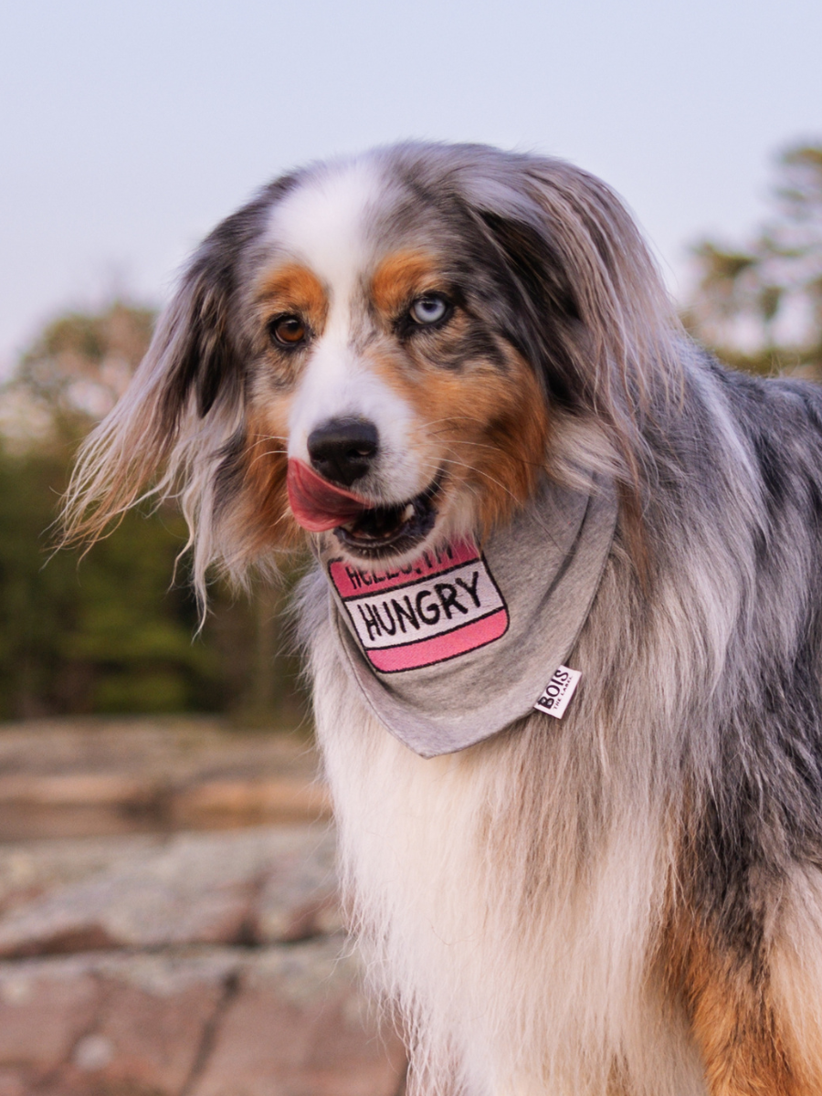 Custom Personalised Name Tag Dog Bandana