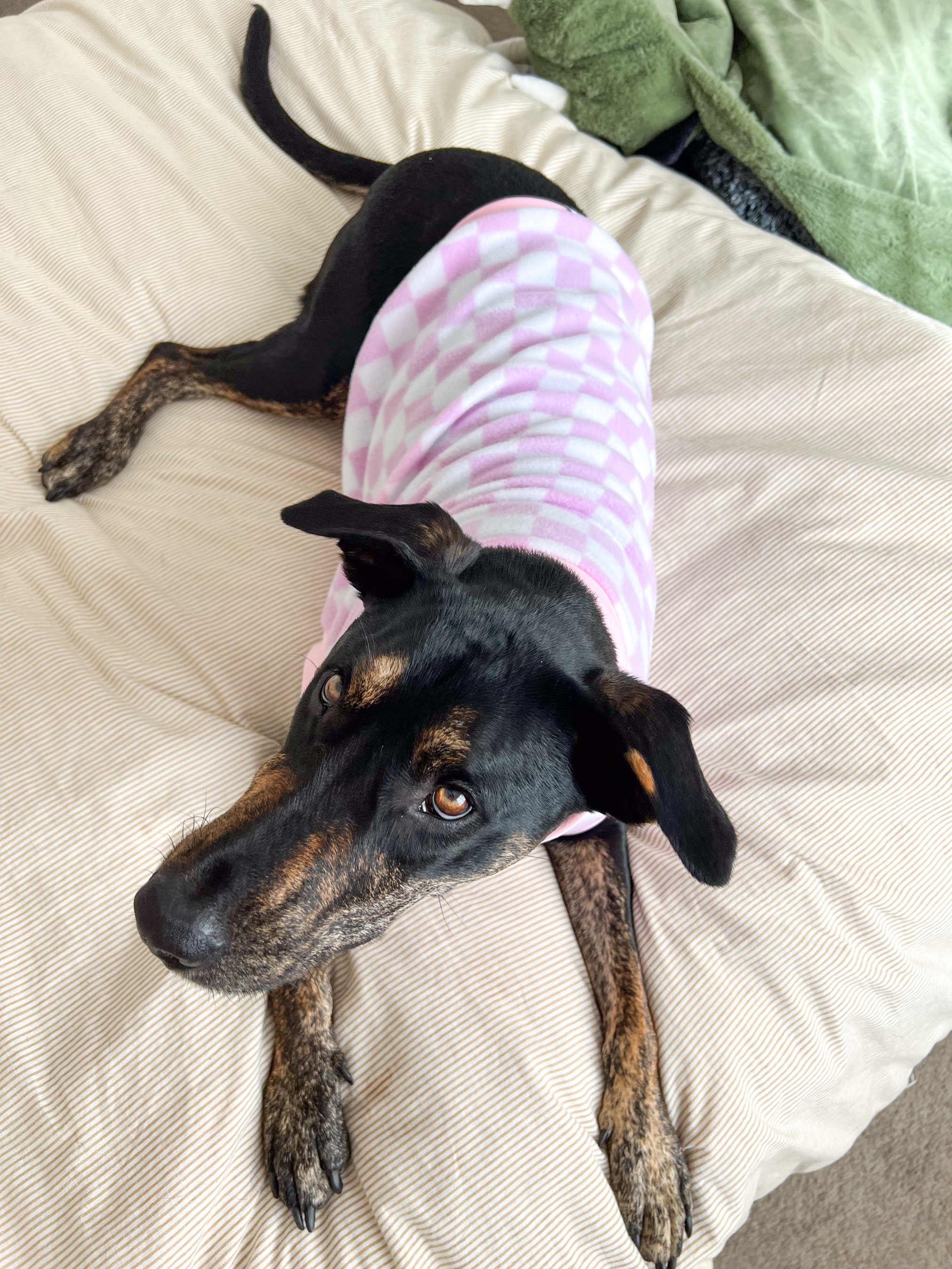 Pink Checker Fleece Sleeveless Dog Jumper