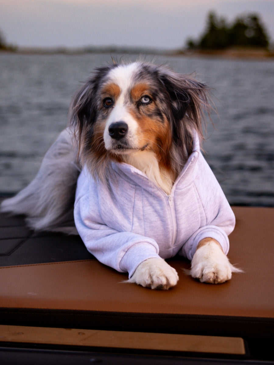 Sedona Quarter Zip Dog Sweater