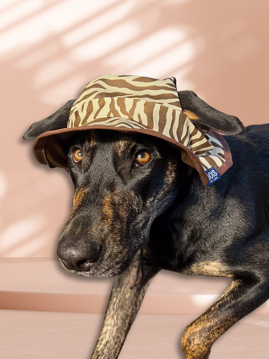 Zebra Dog Reversible Bucket Hat