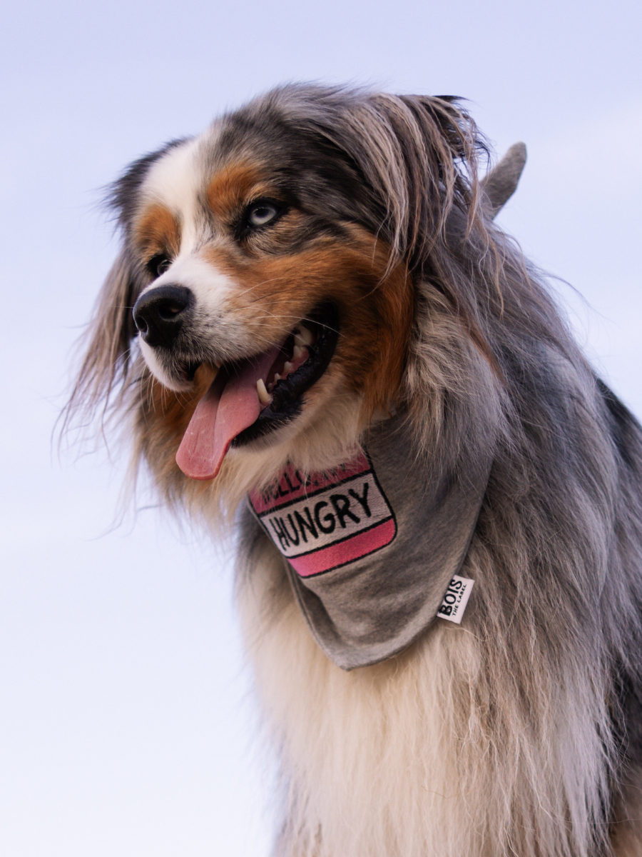 Custom Personalised Name Tag Dog Bandana