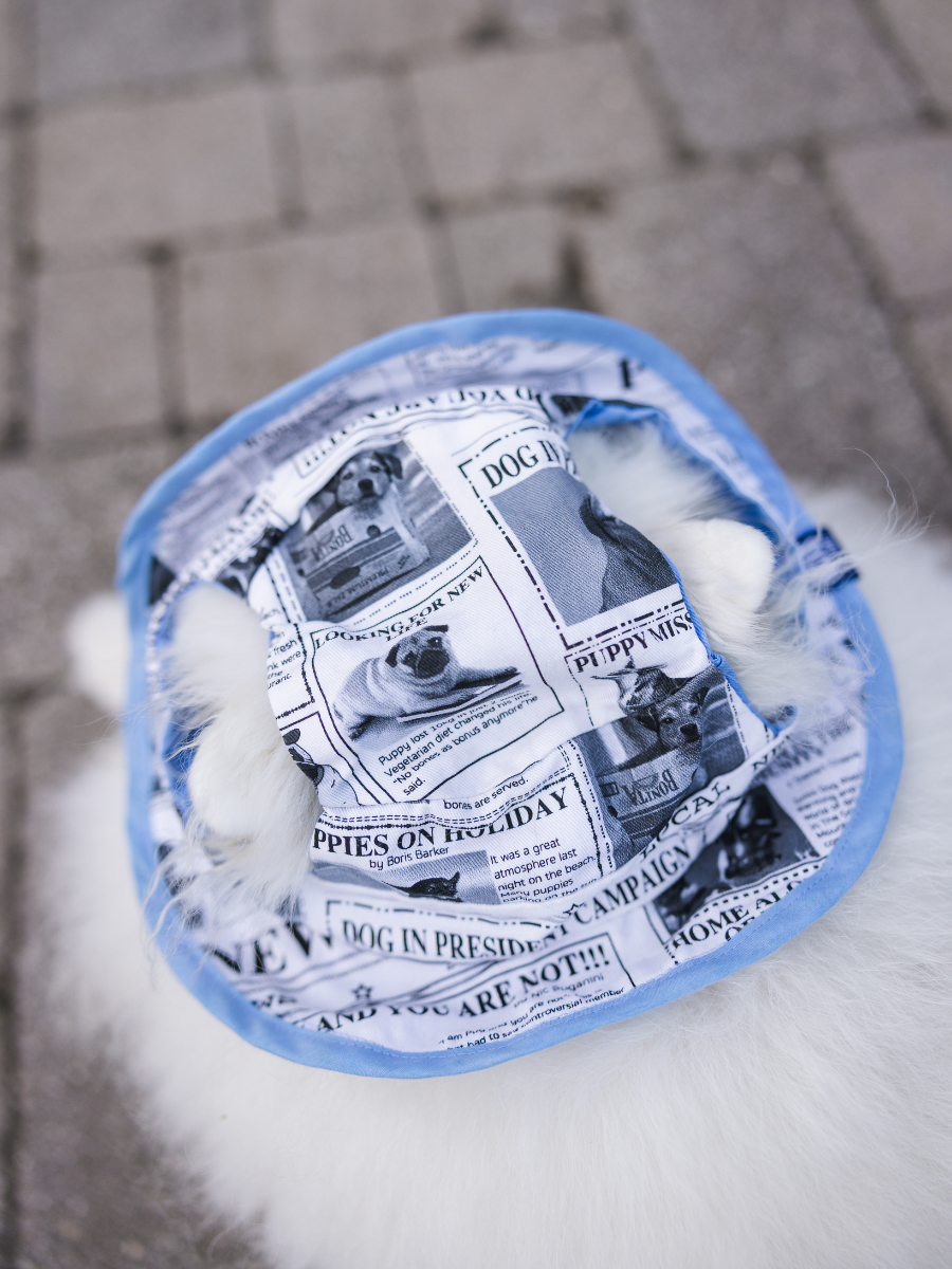 Puppy News Dog Reversible Bucket Hat