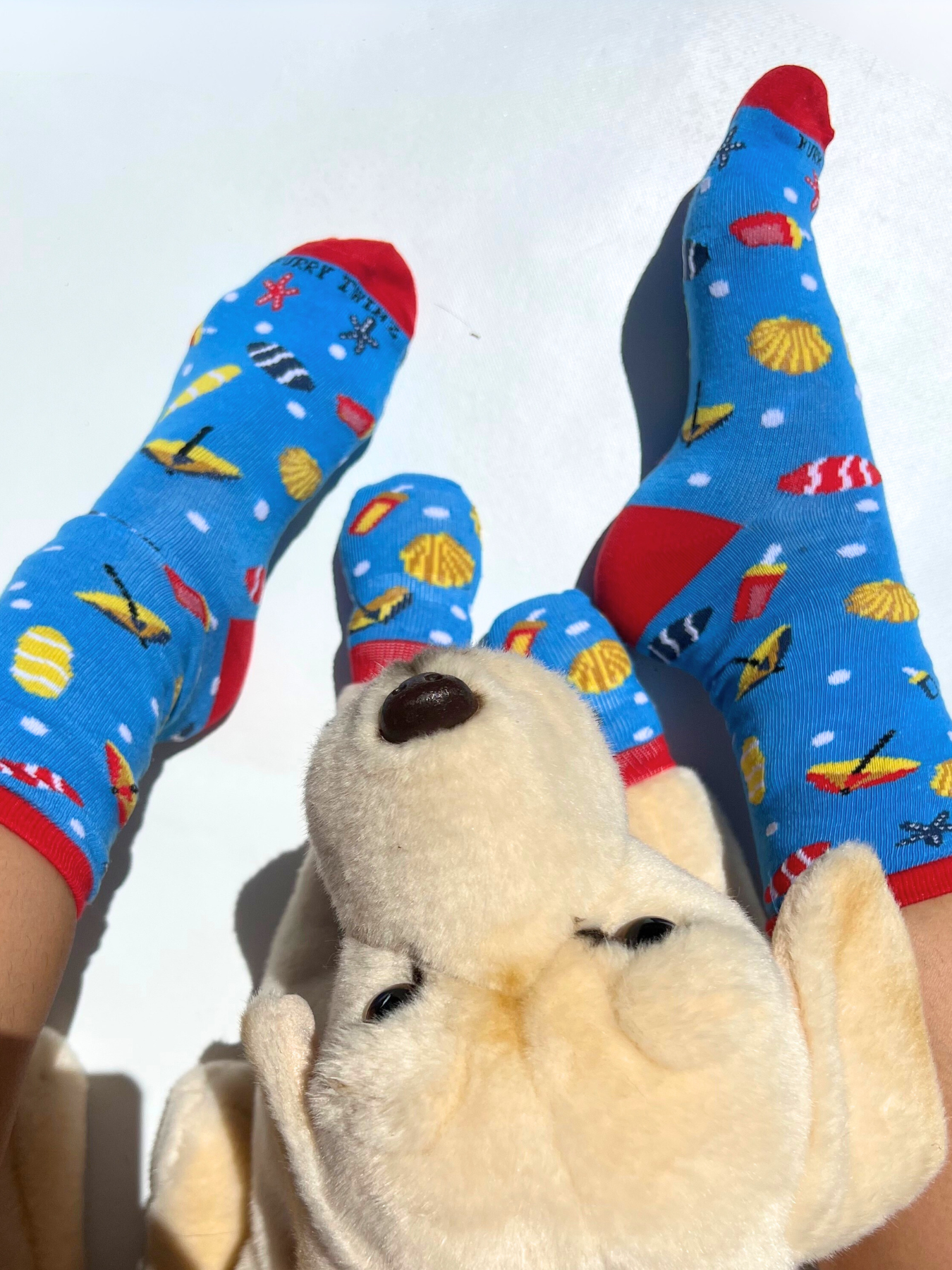 Matching Pet And Owner Fun Socks - Summer Vibes