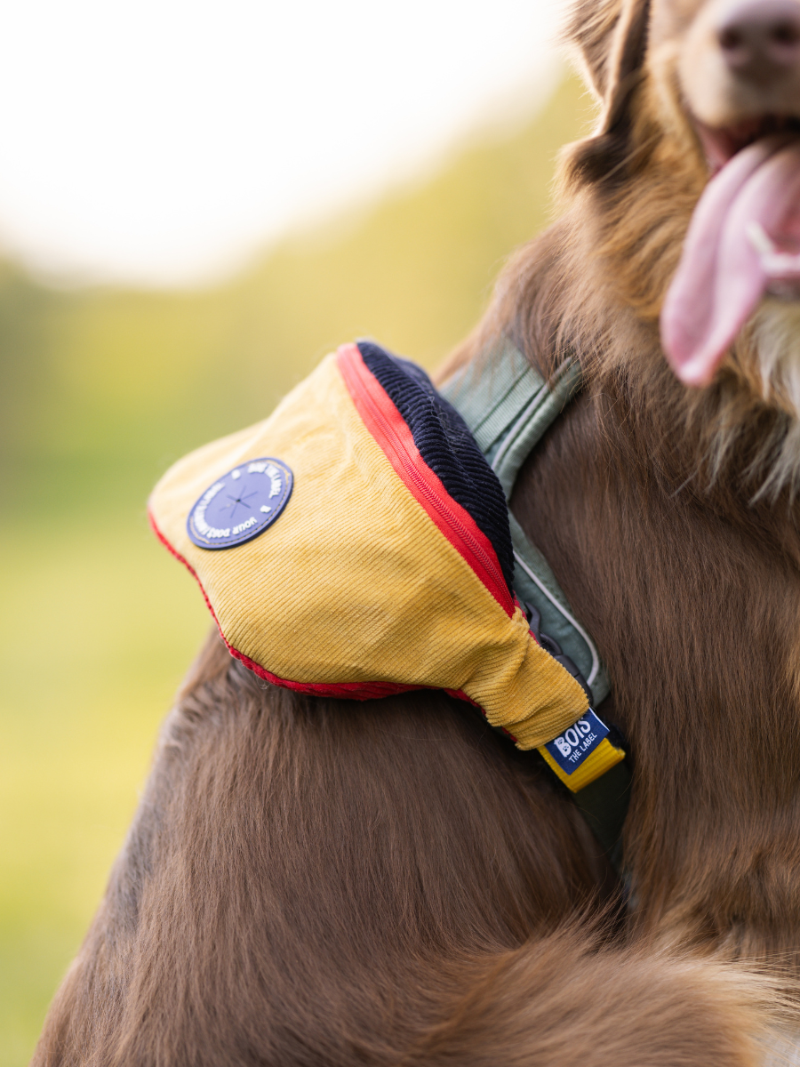 Doggy Bumbag - 90s Corduroy Colourblock