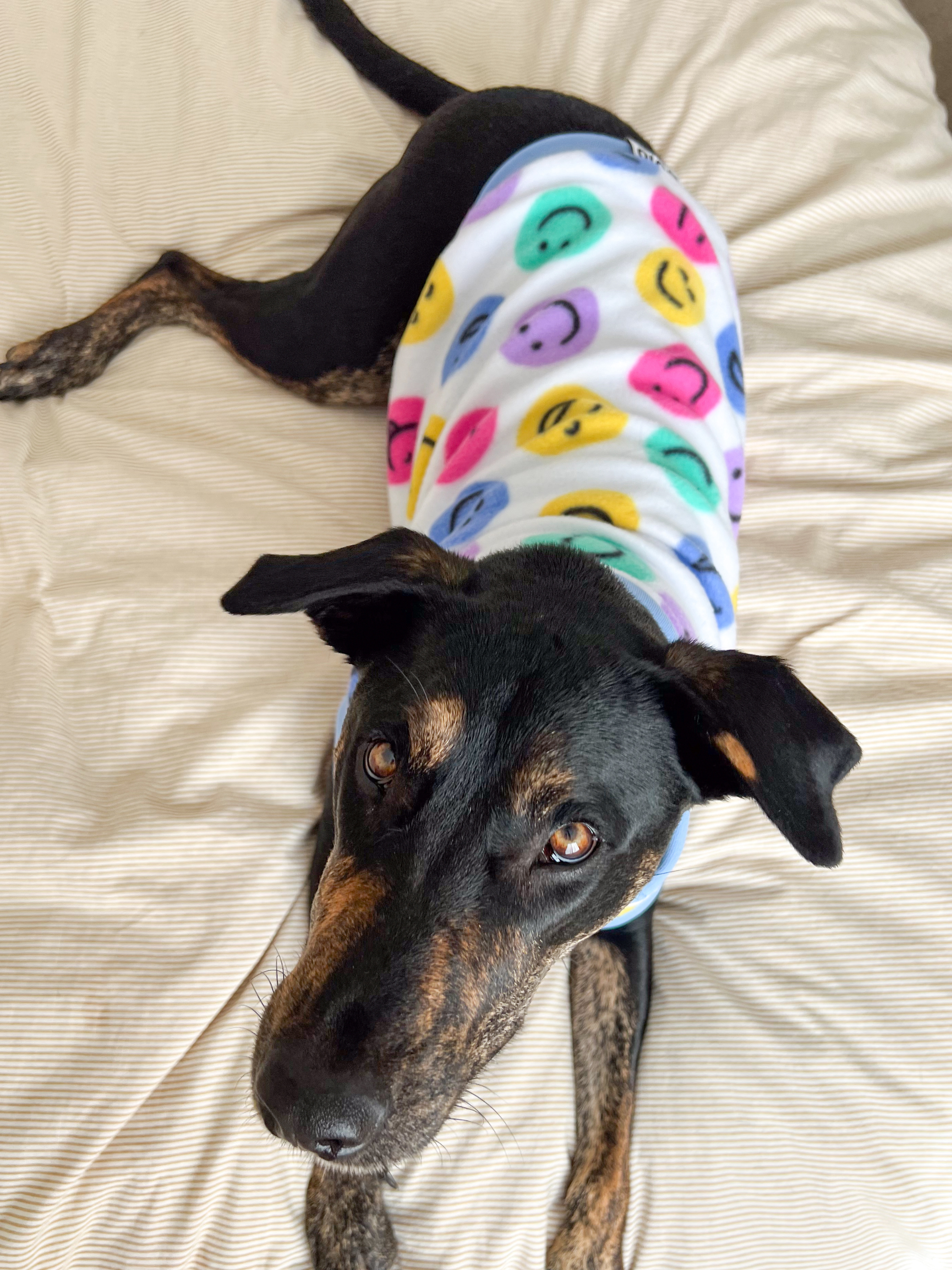 Smiley Fleece Sleeveless Dog Jumper