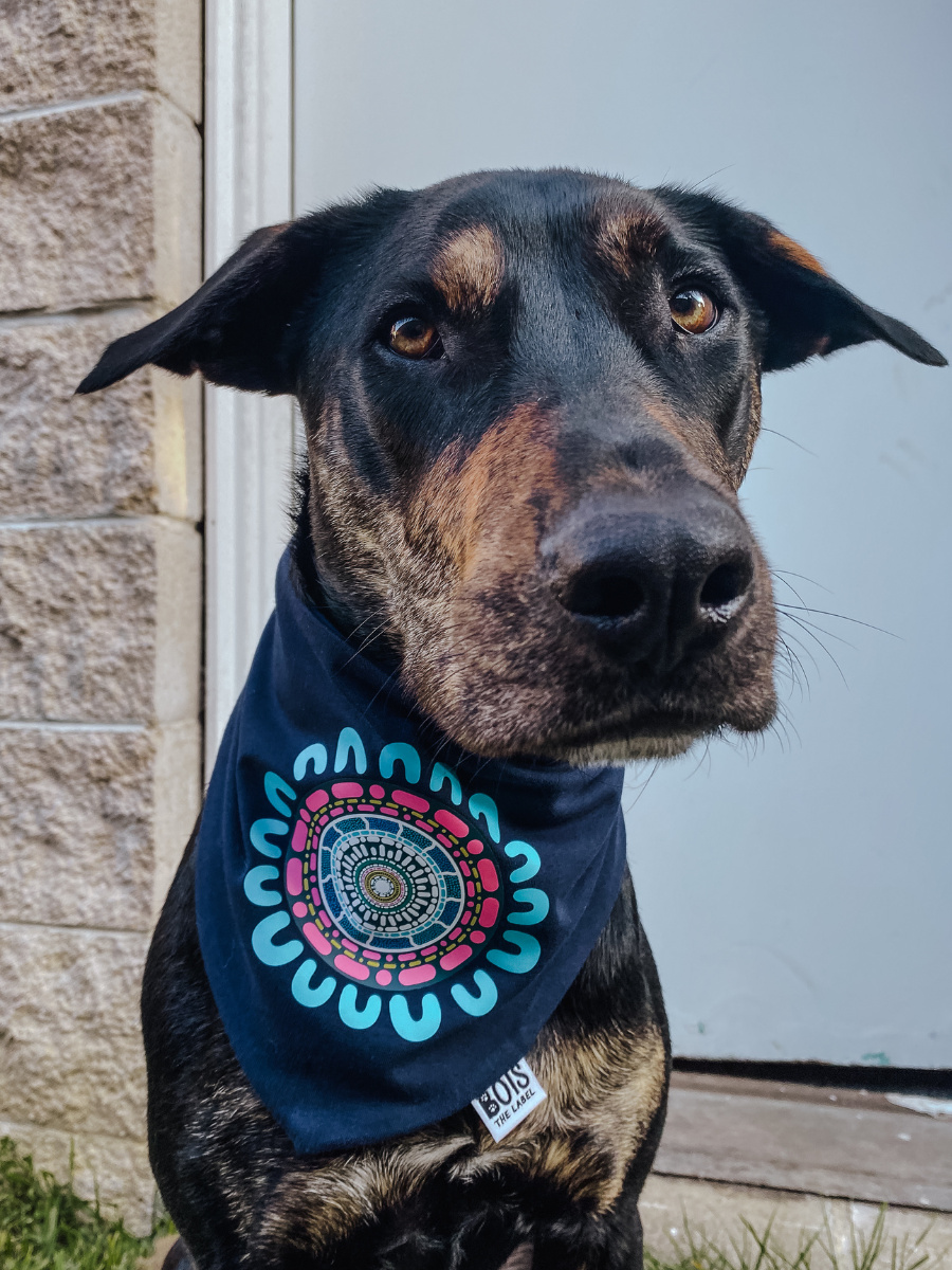 'Connection' Dog Bandana - by Rheanna Lotter