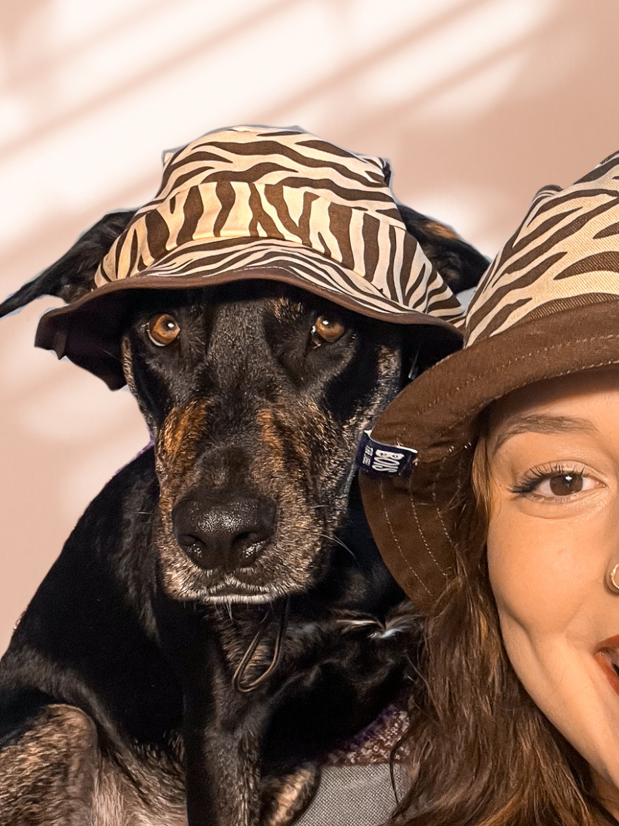 Zebra Dog Reversible Bucket Hat