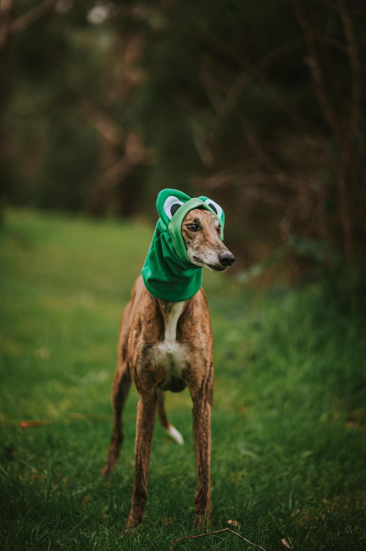 Frog Snood Dog Costume