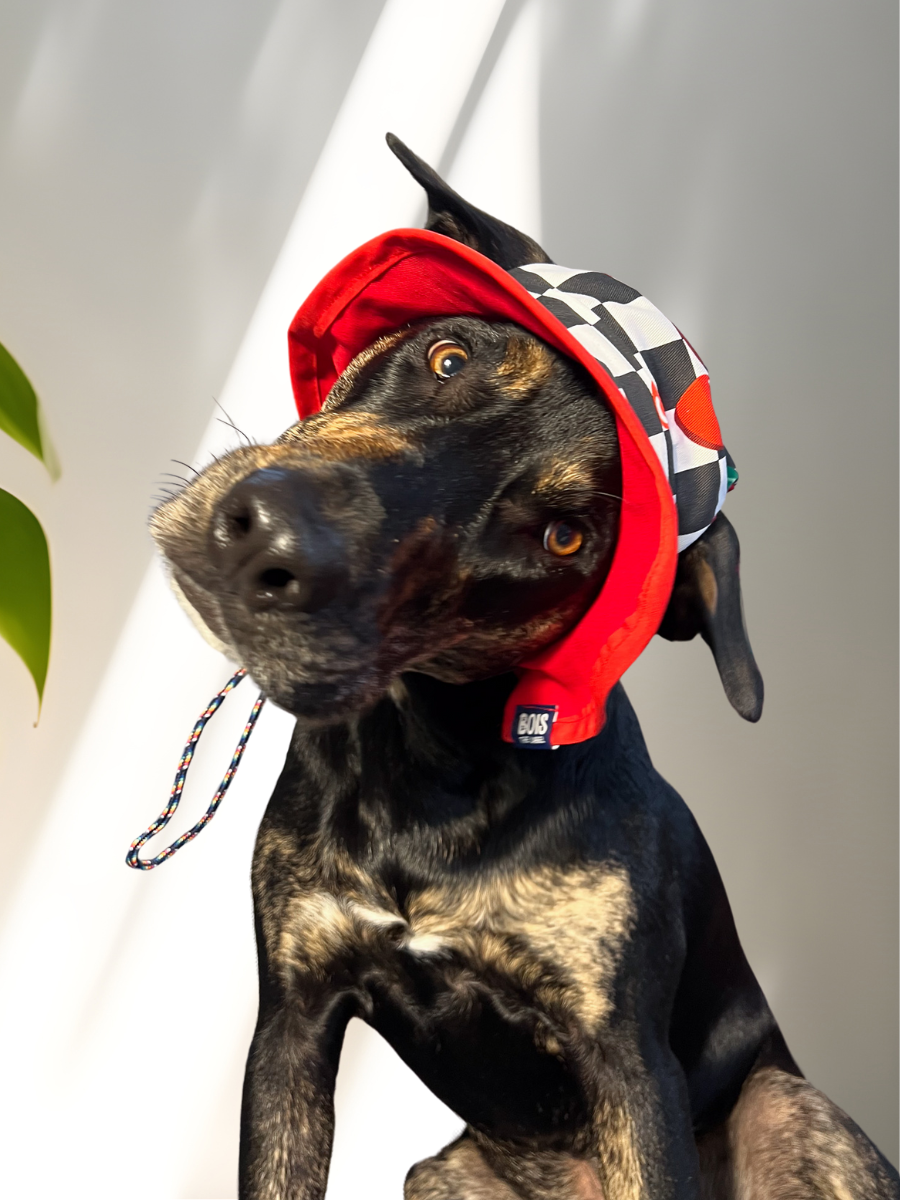 Matching Dog and Owner Cherry Checker Reversible Bucket Hats