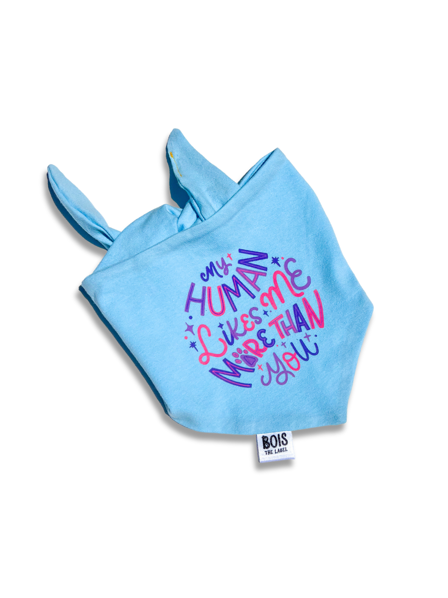 "My Human Likes Me More Than You" x BubblyType Dog Bandana