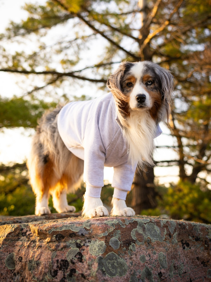Sedona Quarter Zip Dog Sweater
