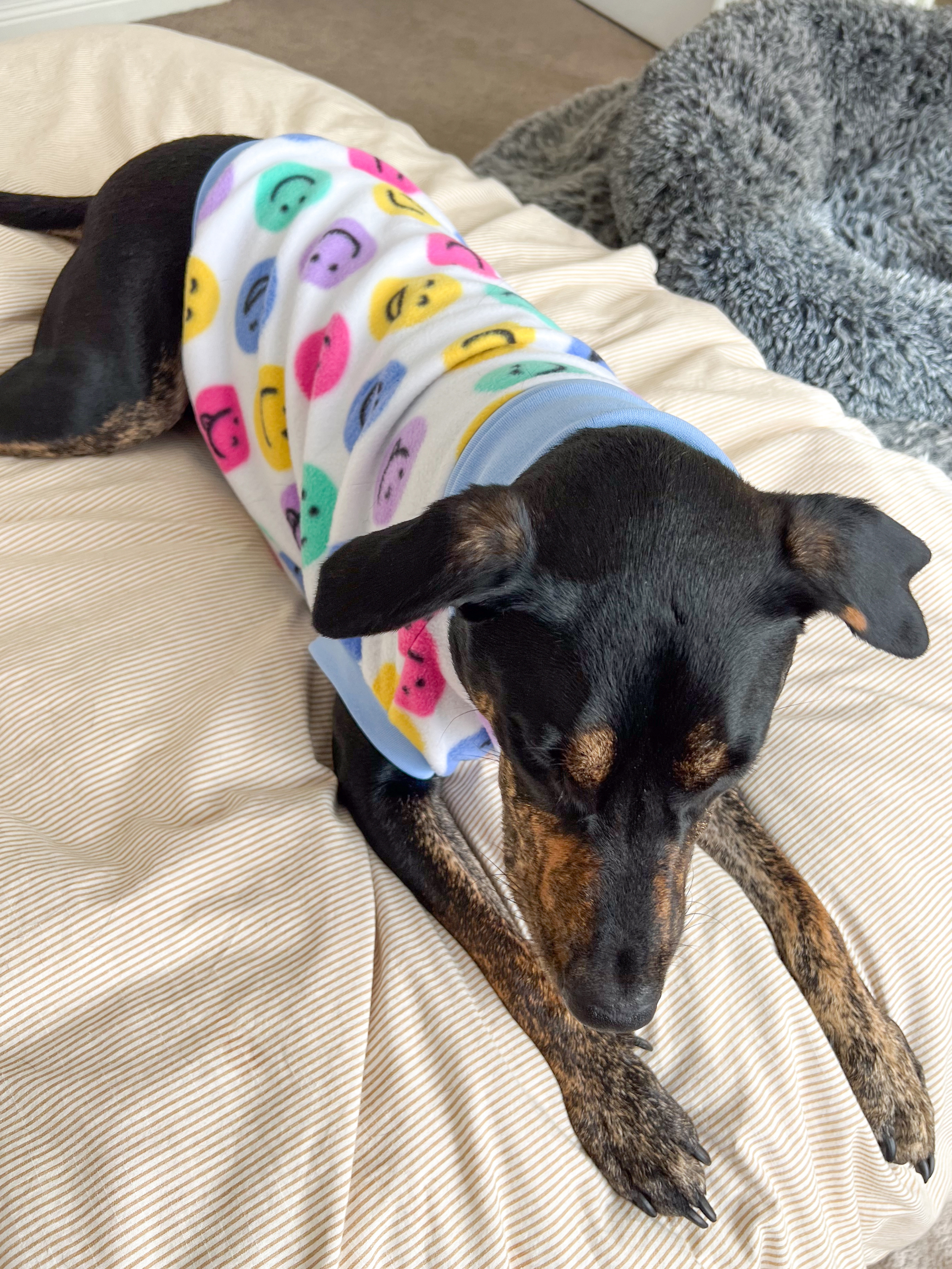 Smiley Fleece Sleeveless Dog Jumper