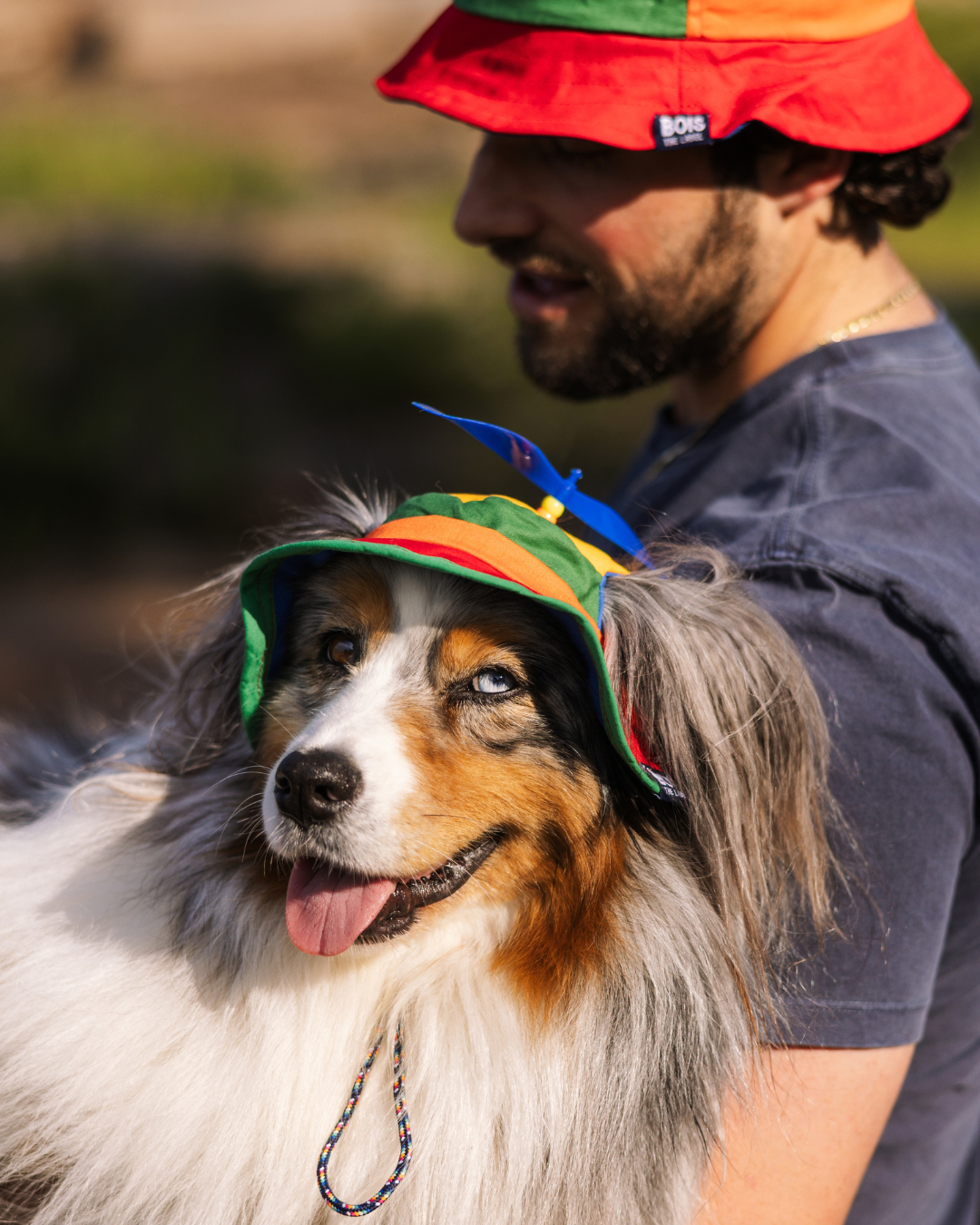 Casquettes rétro à hélice assorties pour chien et propriétaire