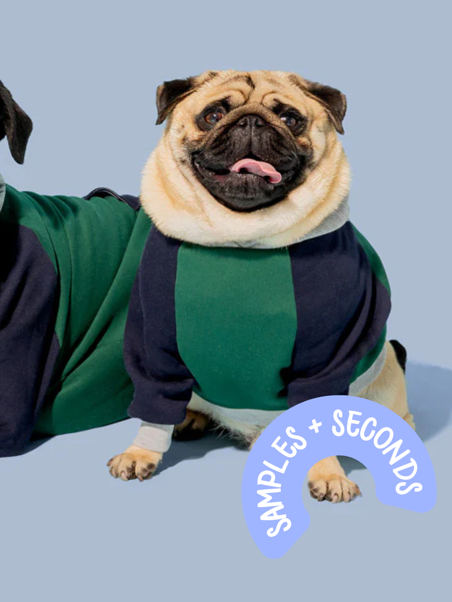 XS - Ready to Ship BOIS 182 Dog Hoodie