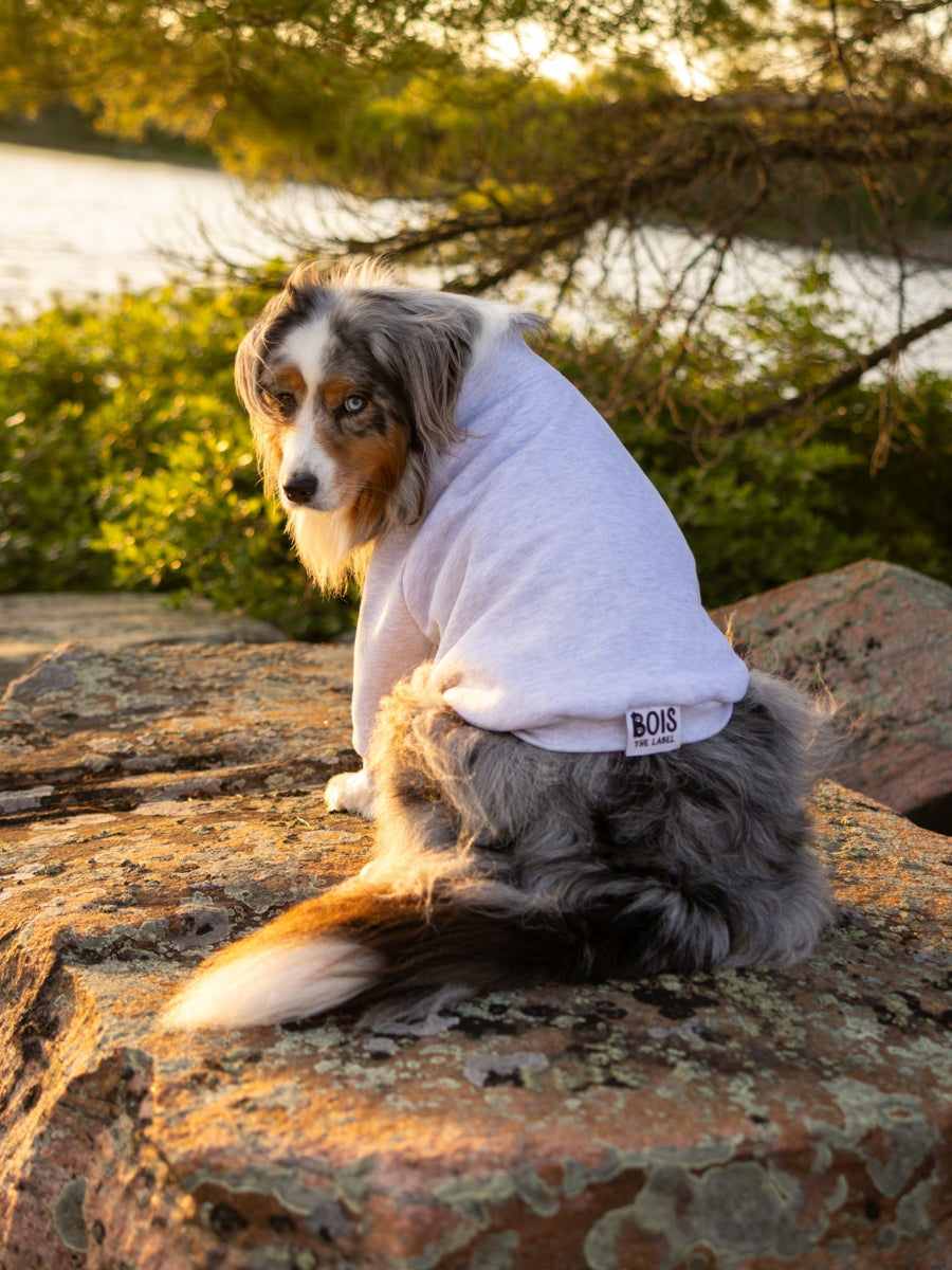 Sedona Quarter Zip Dog Sweater