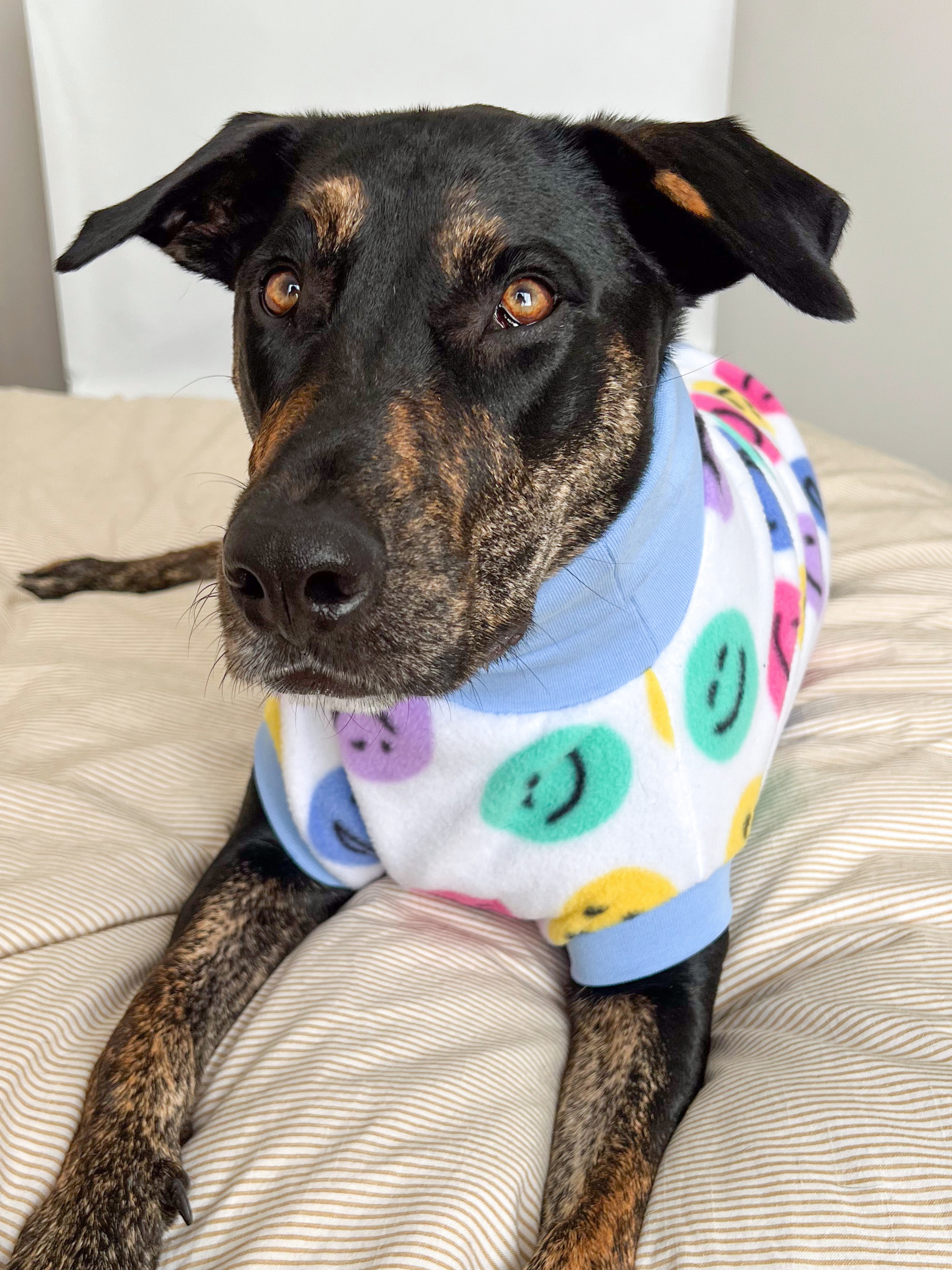 Smiley Fleece Sleeveless Dog Jumper