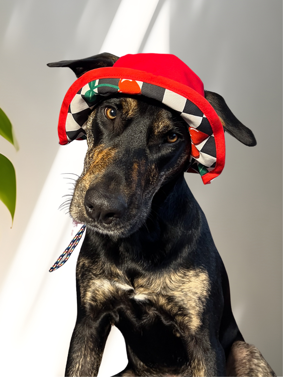 Cherry Checker Dog Reversible Bucket Hat